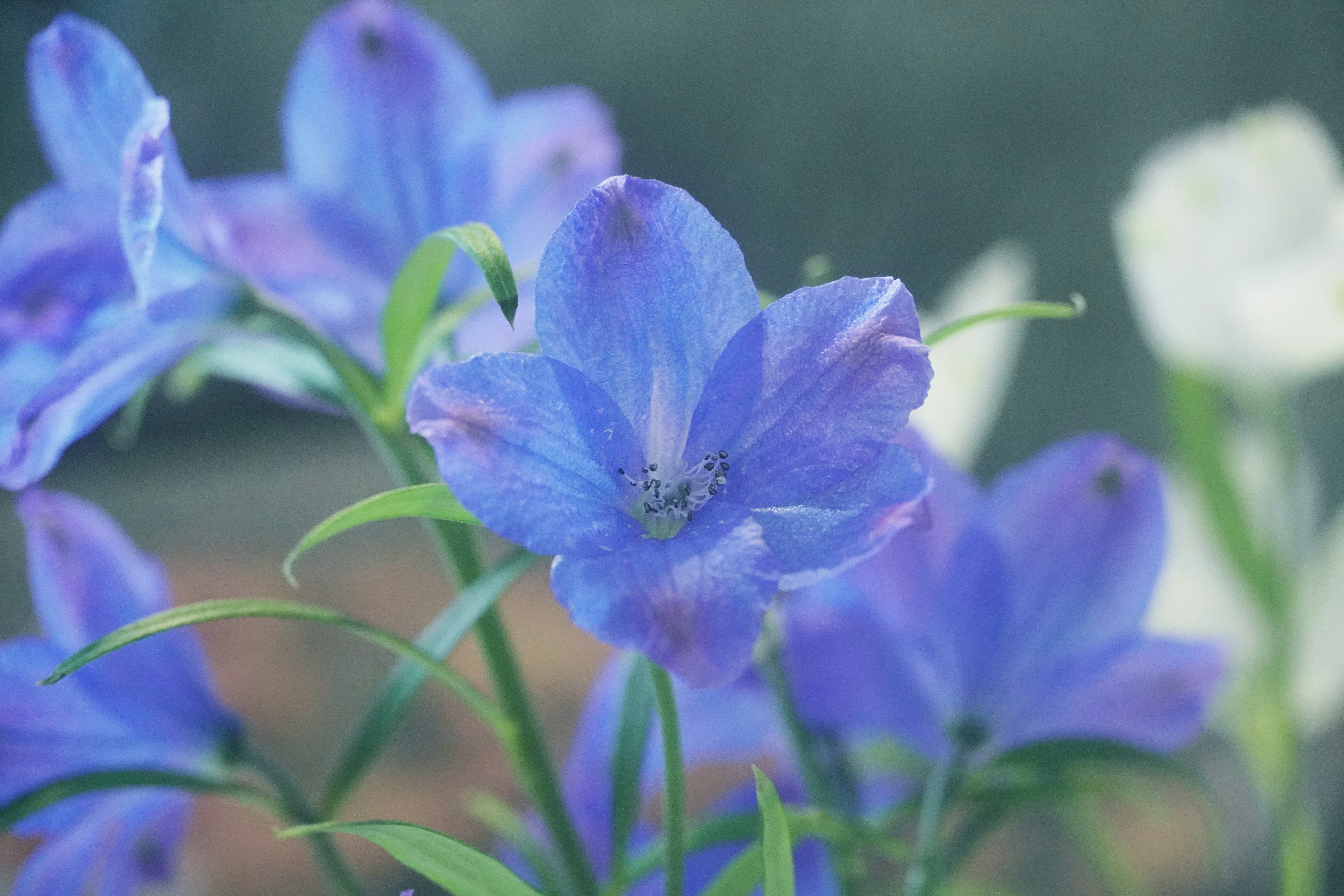 Photo by lifeinkorea