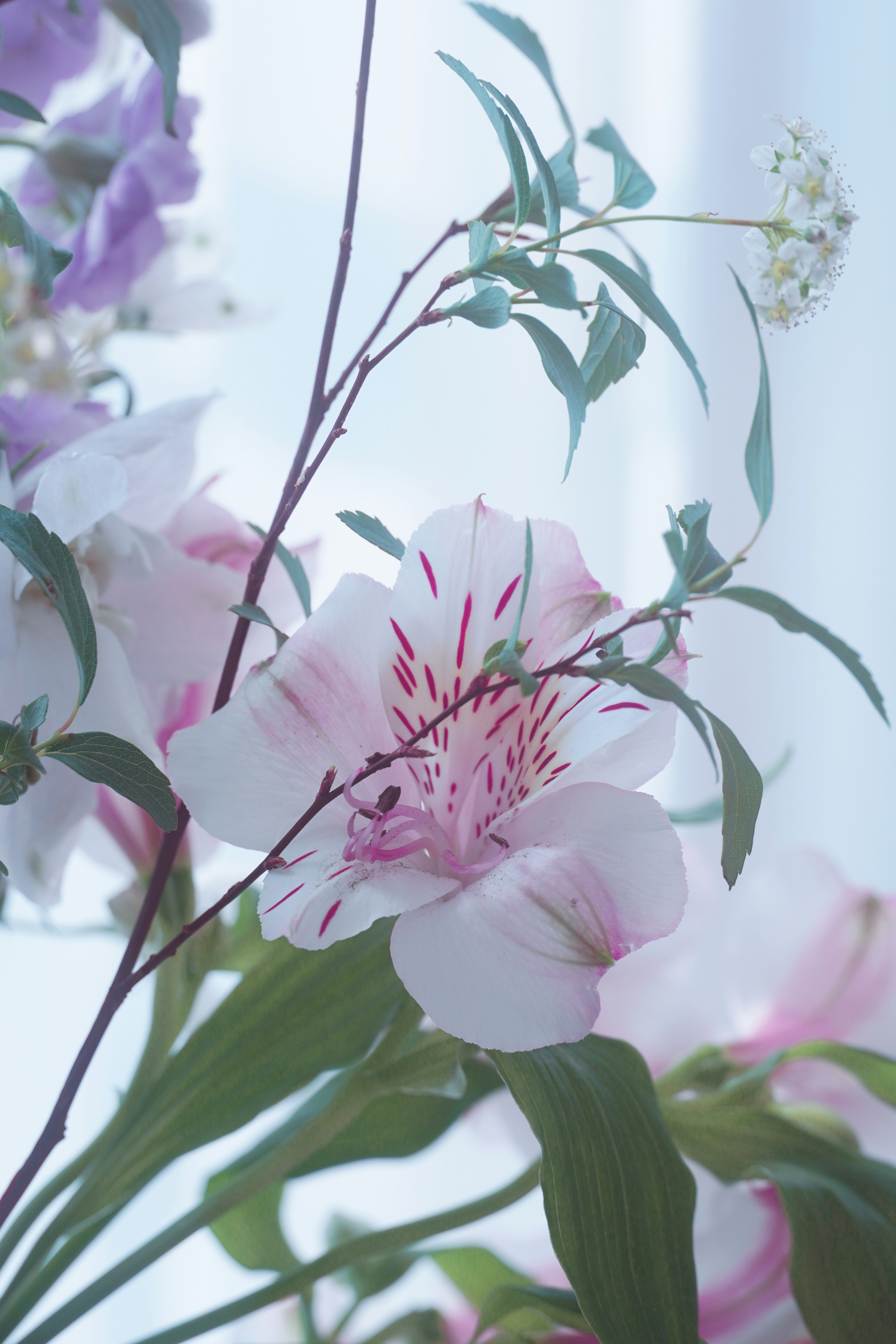 Photo by lifeinkorea