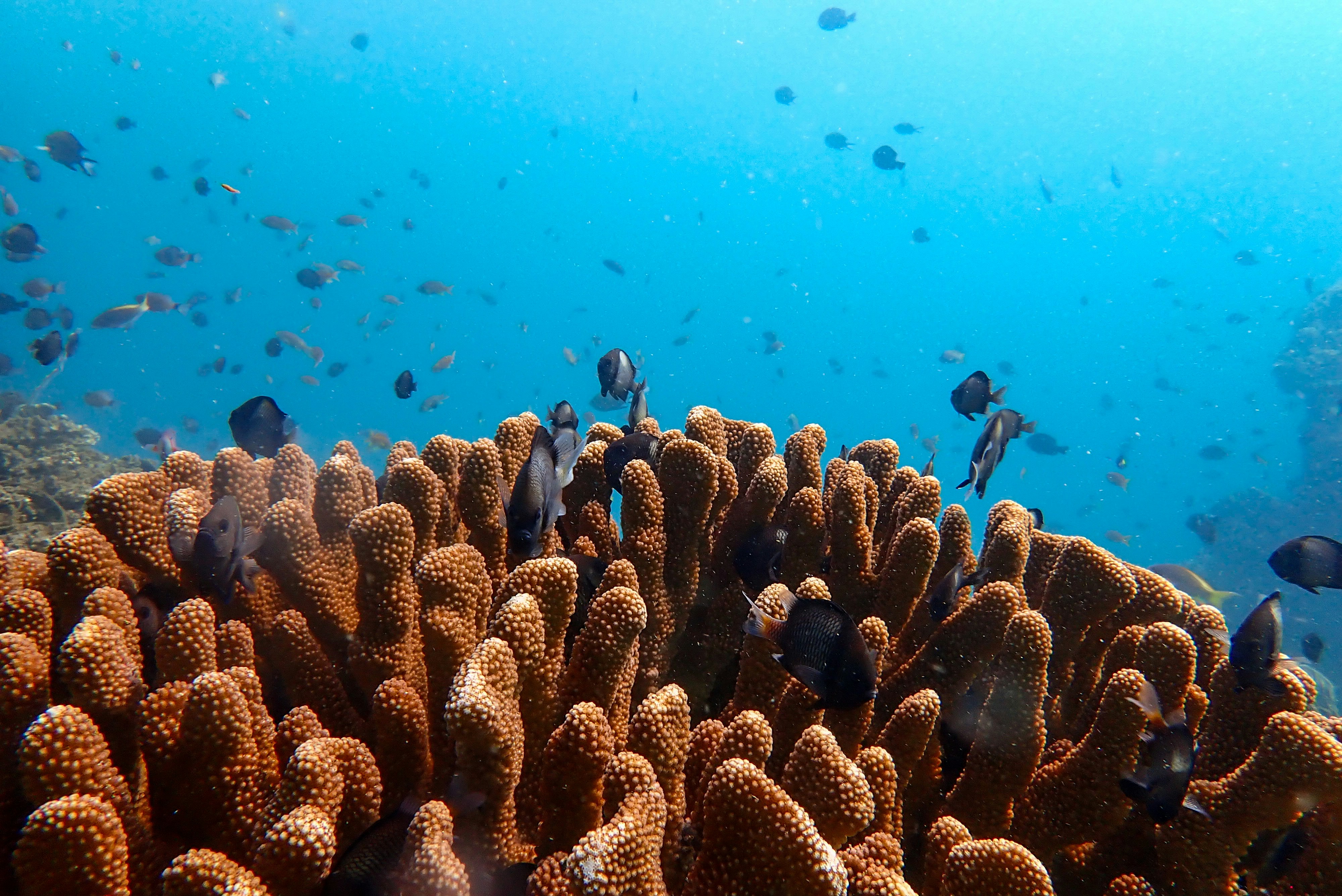 Photo by juliaelliot