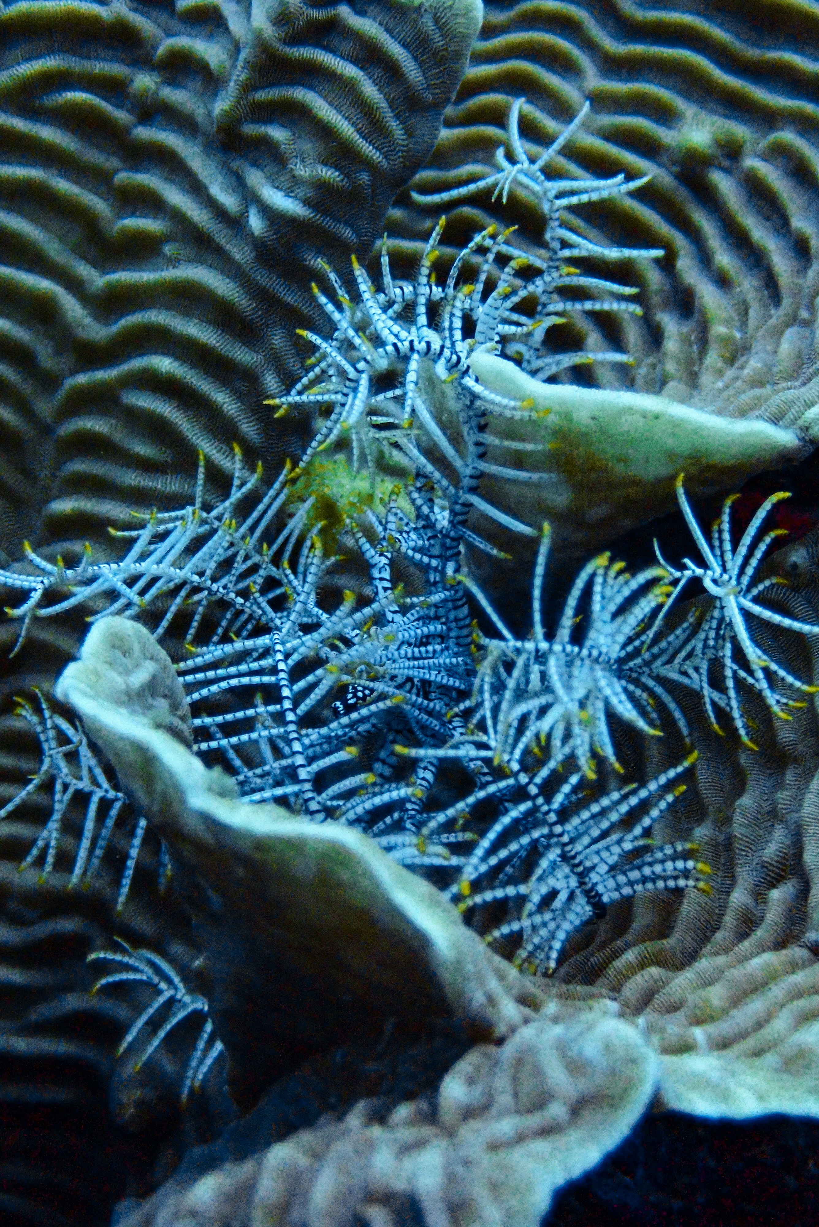 Photo by juliaelliot