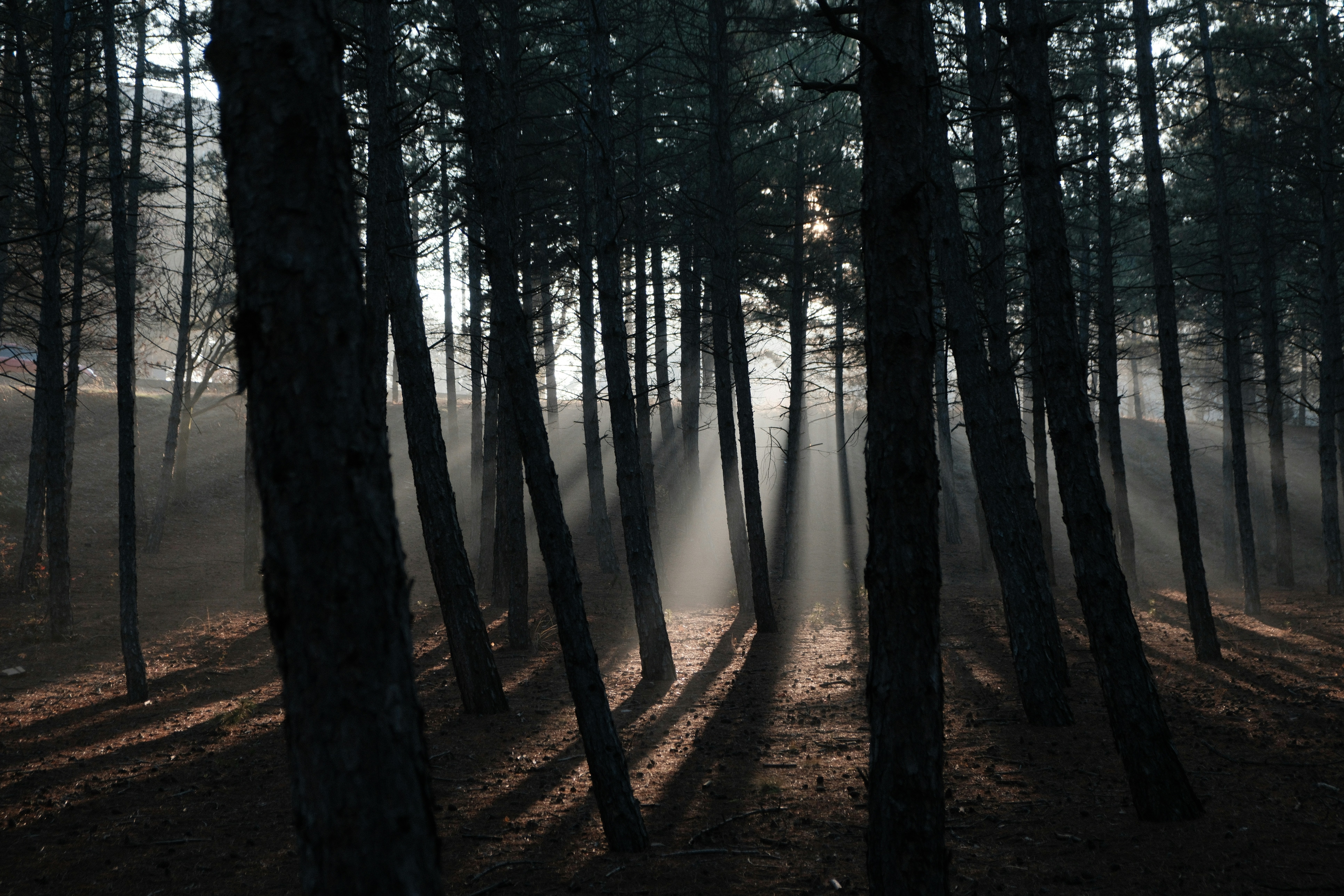 Photo by ismailefetop