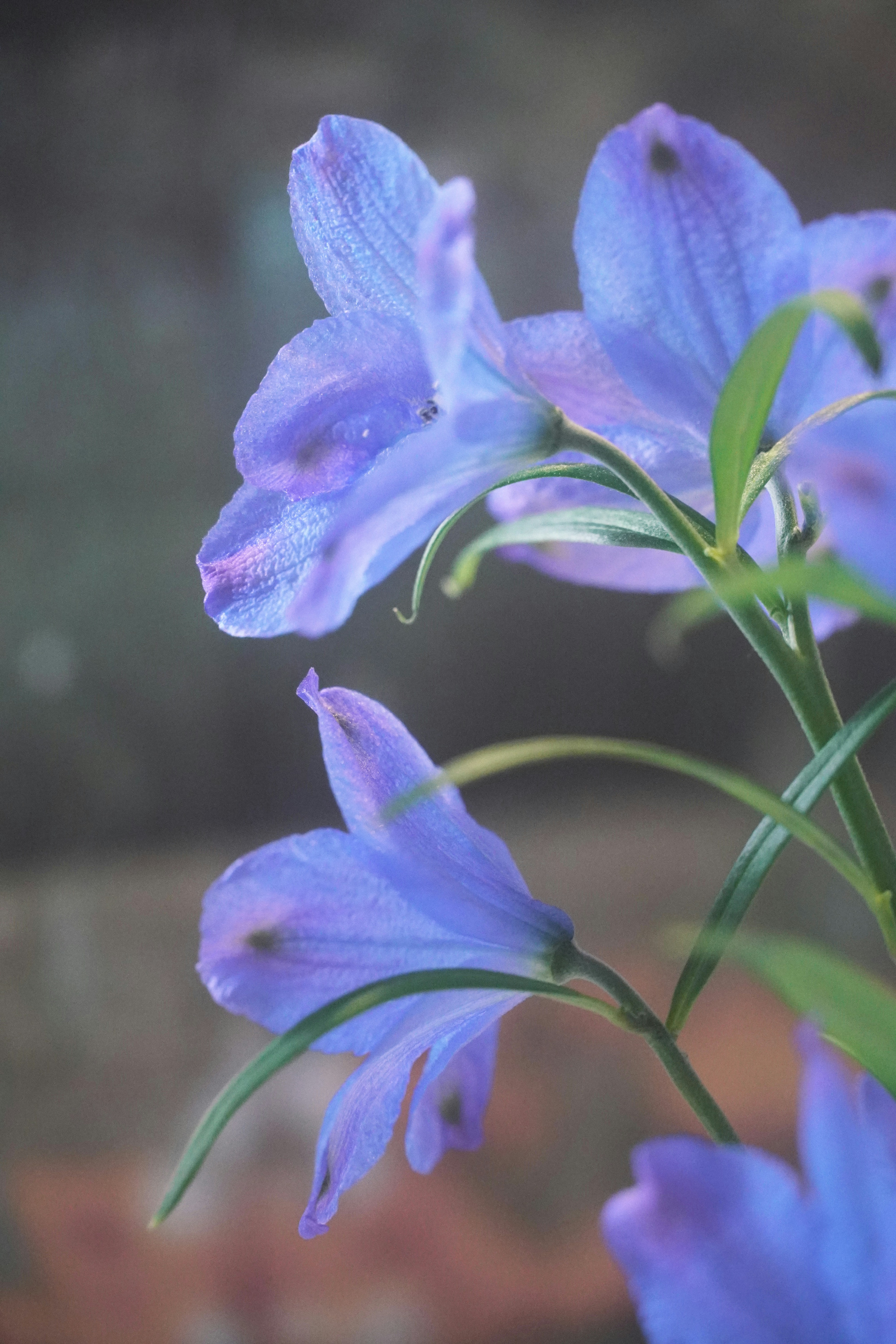 Photo by lifeinkorea