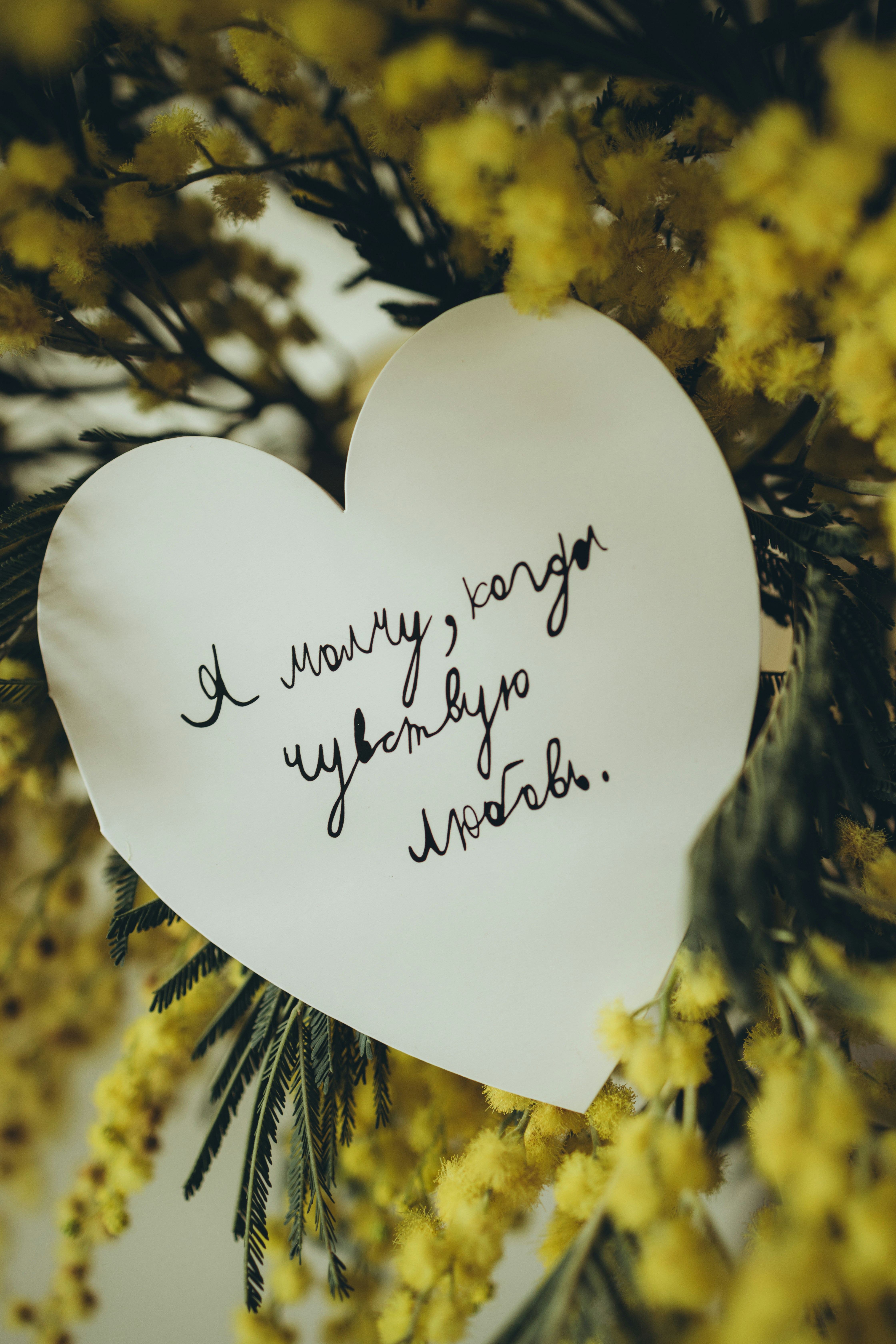 A paper heart with a message written on it