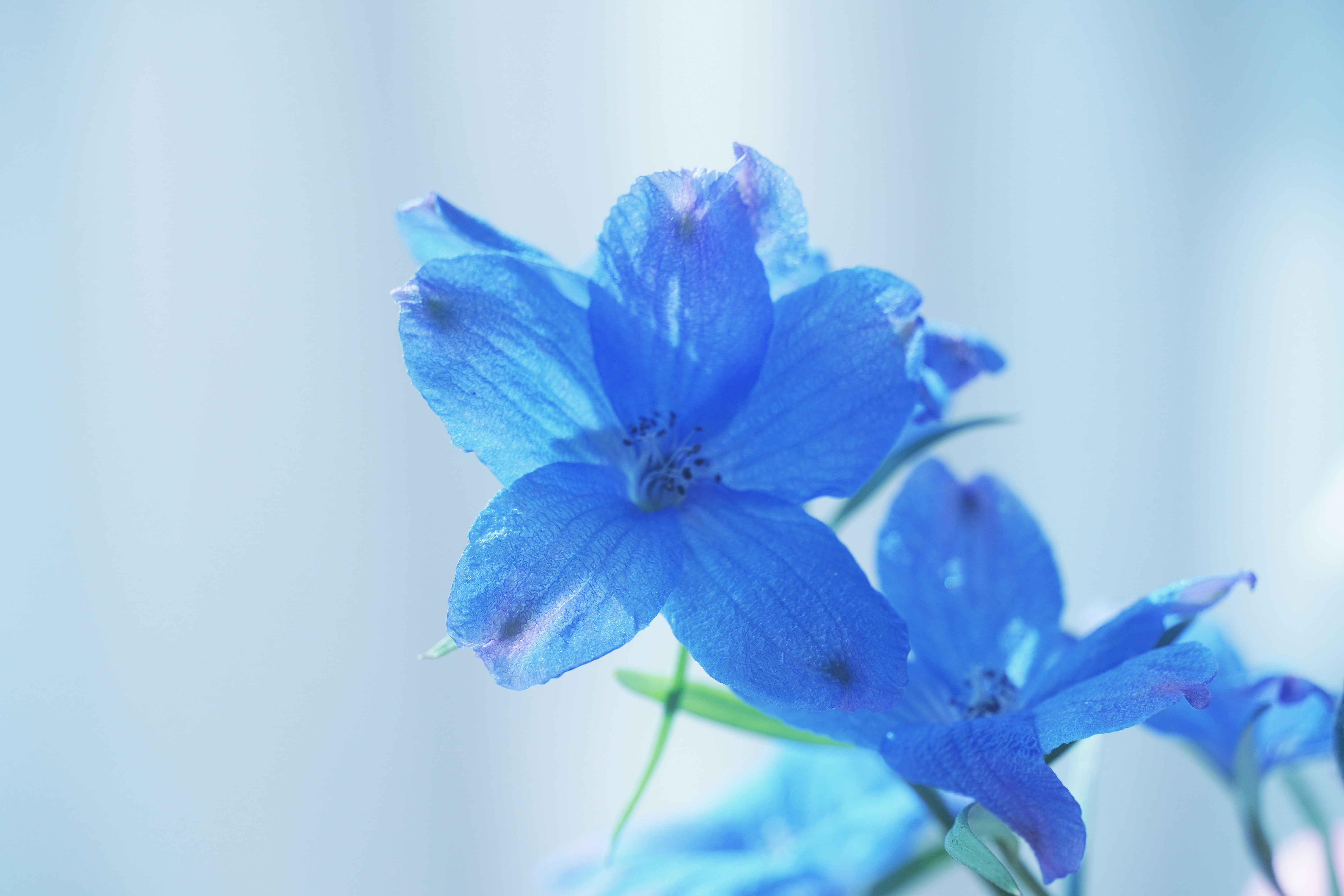 Photo by lifeinkorea