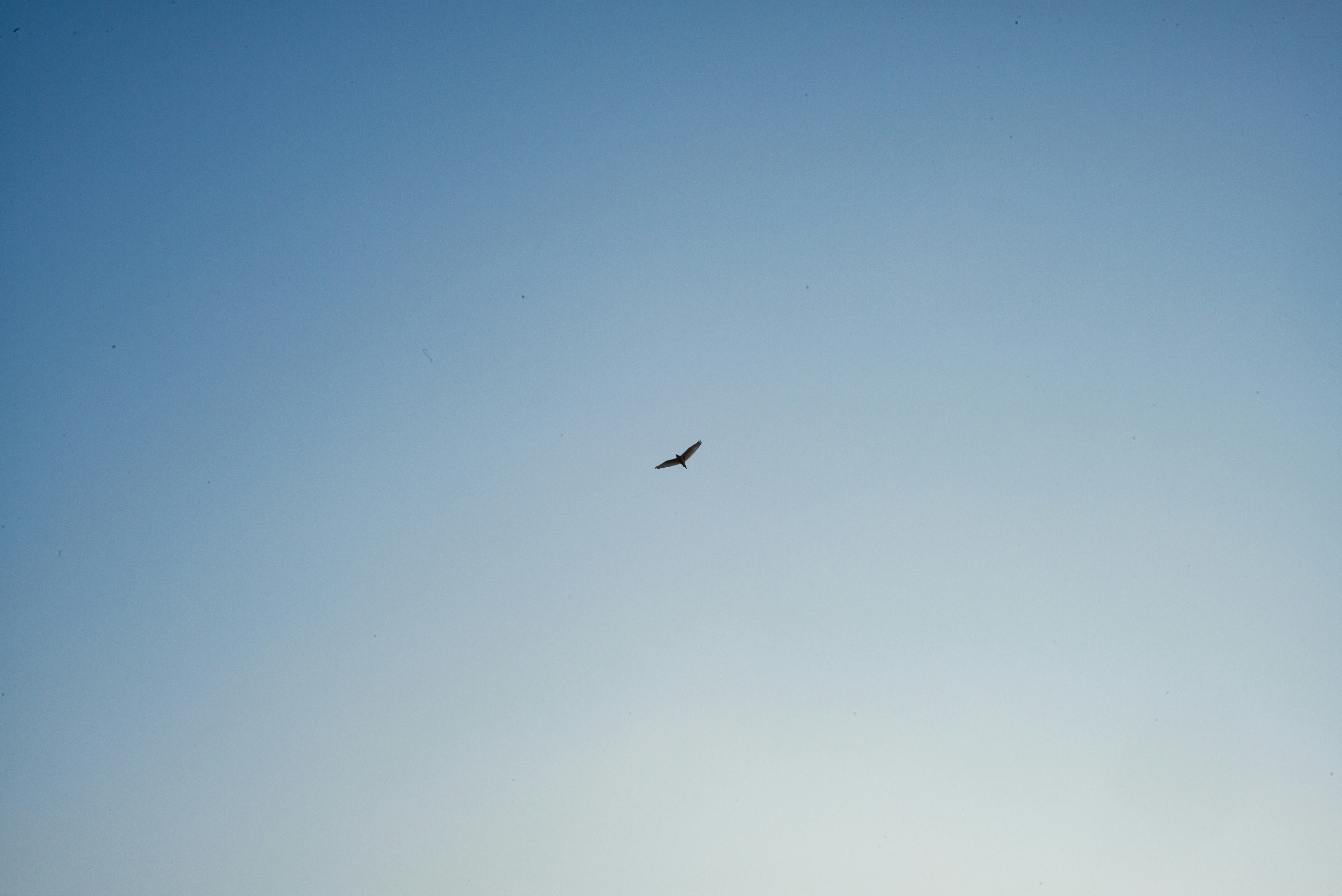 Photo by donguyenkhanhs