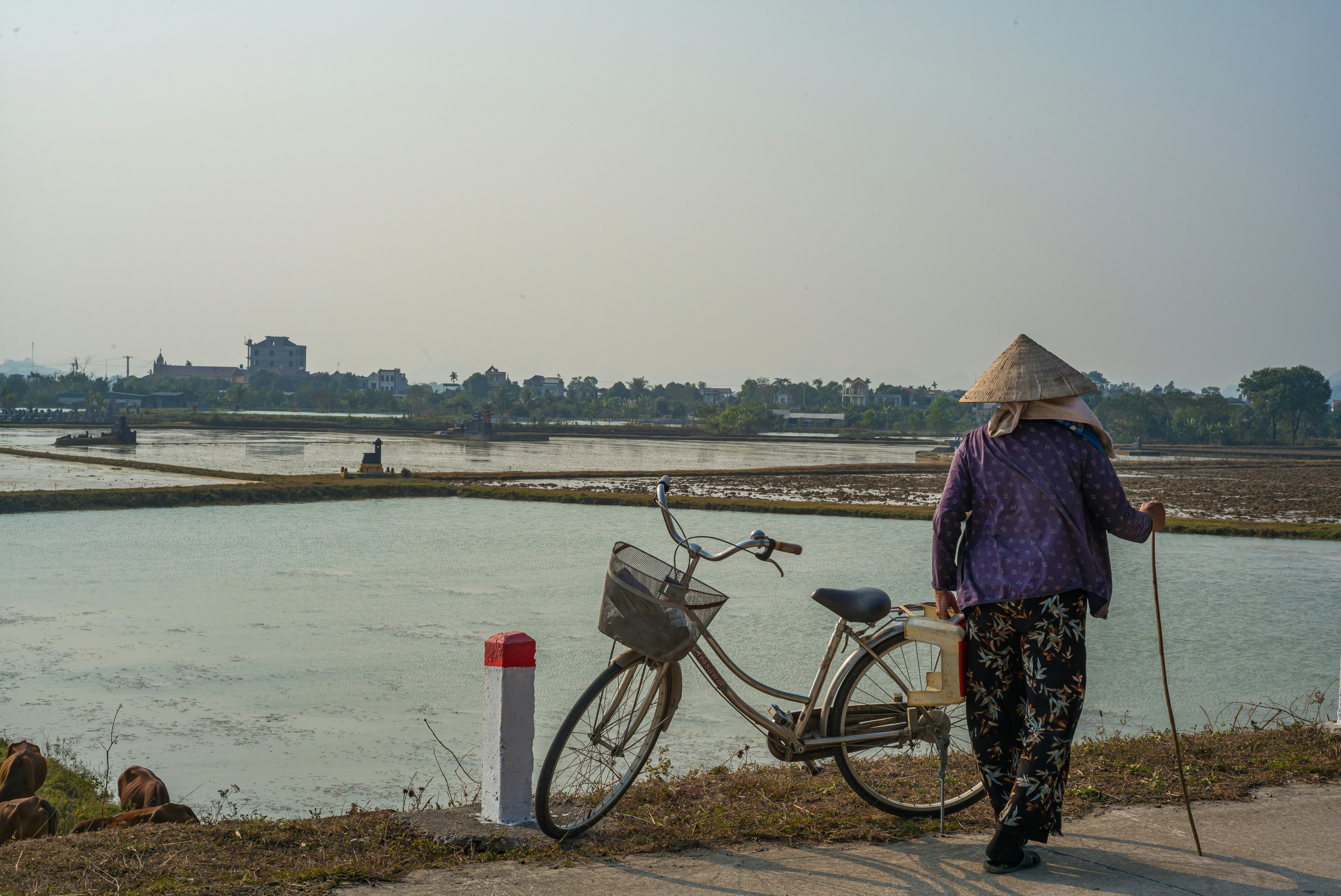 Photo by donguyenkhanhs