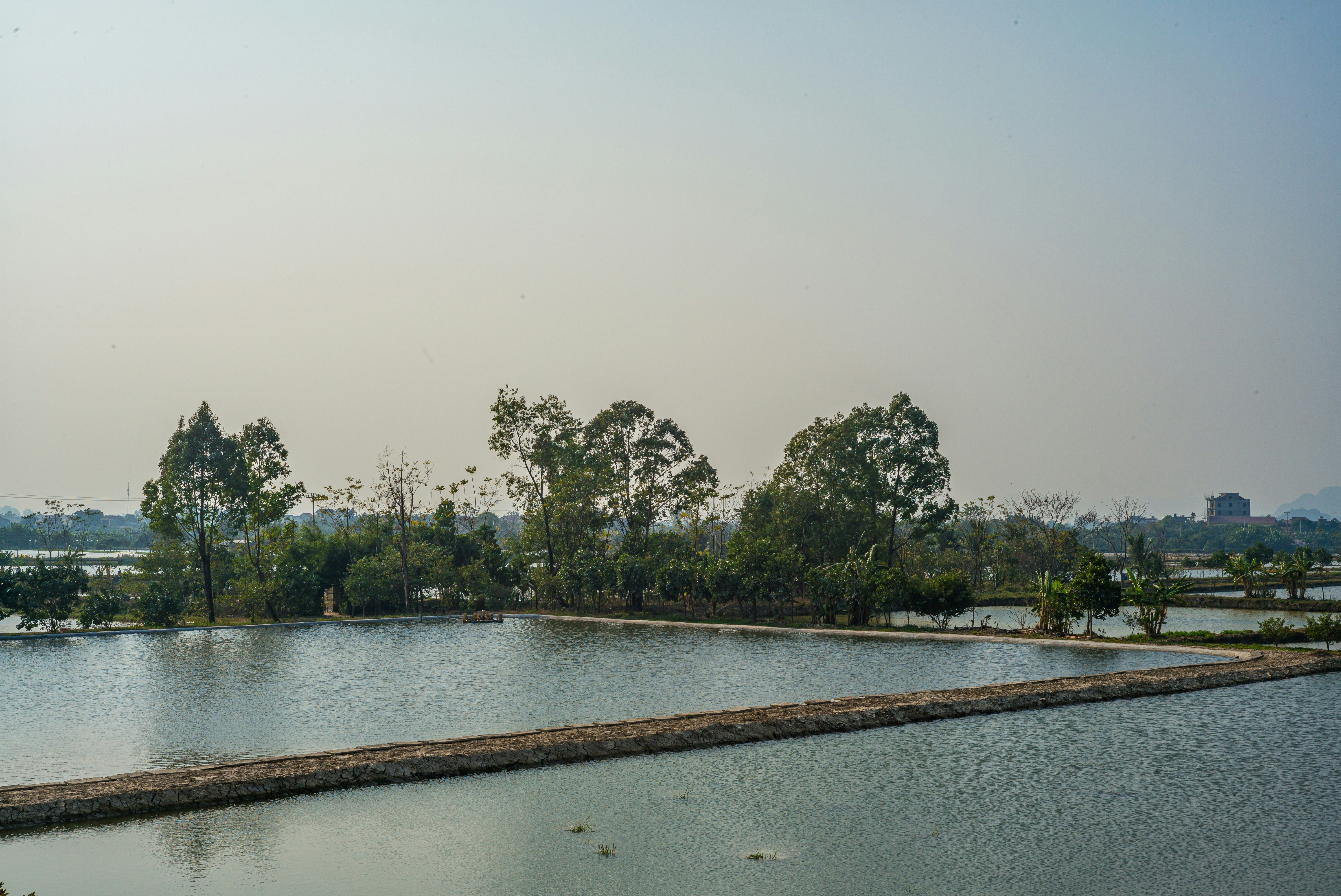 Photo by donguyenkhanhs