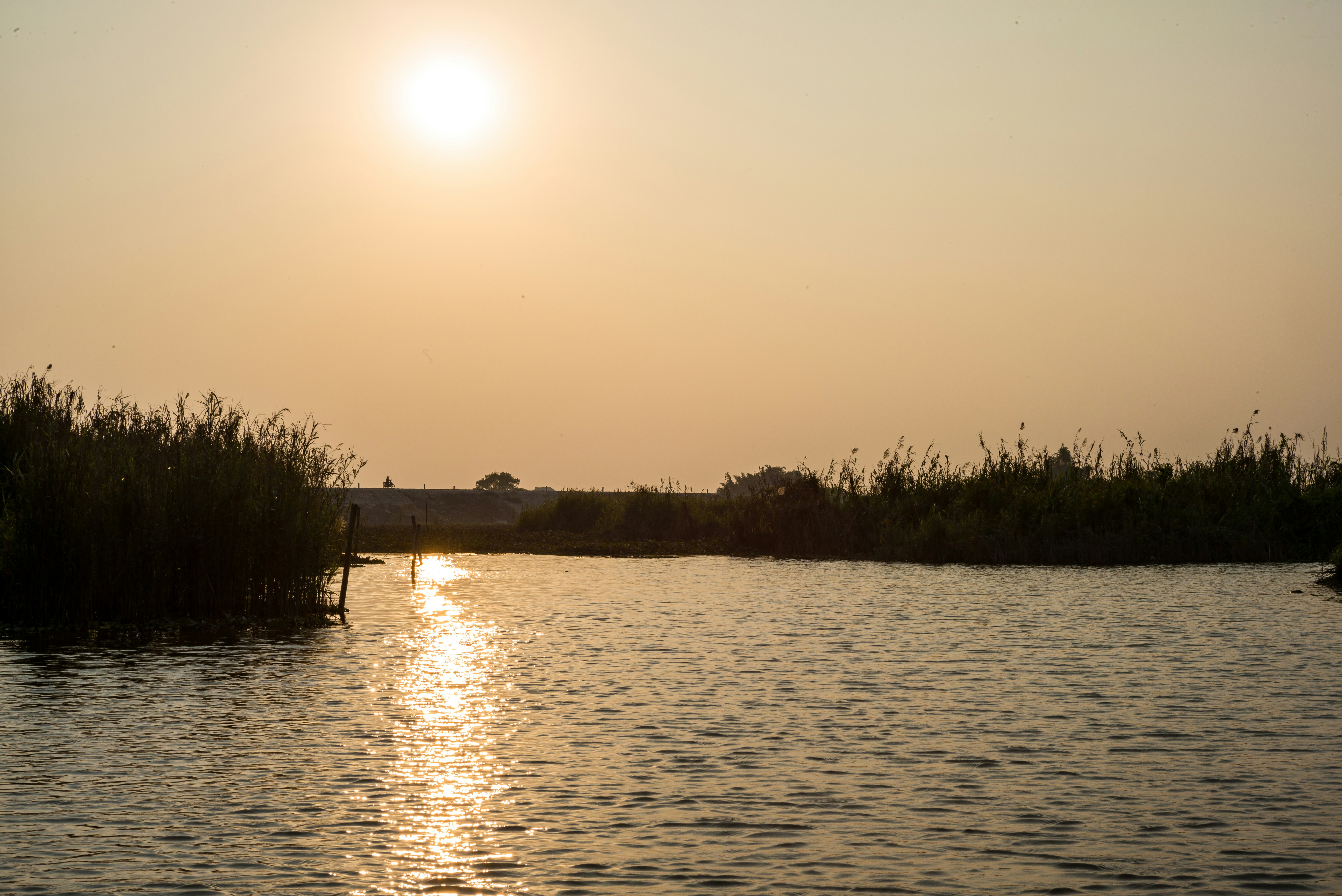 Photo by donguyenkhanhs