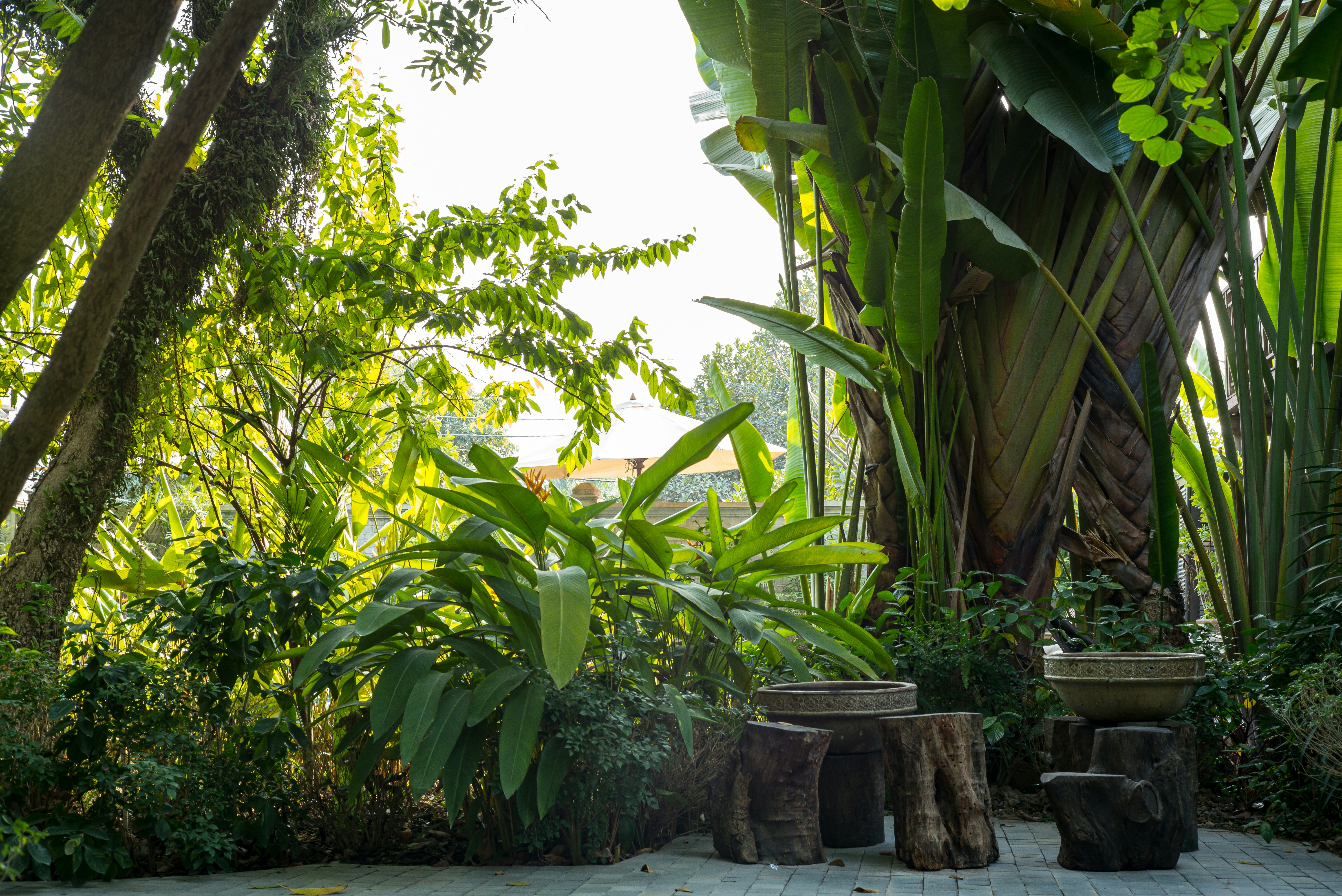 Photo by donguyenkhanhs