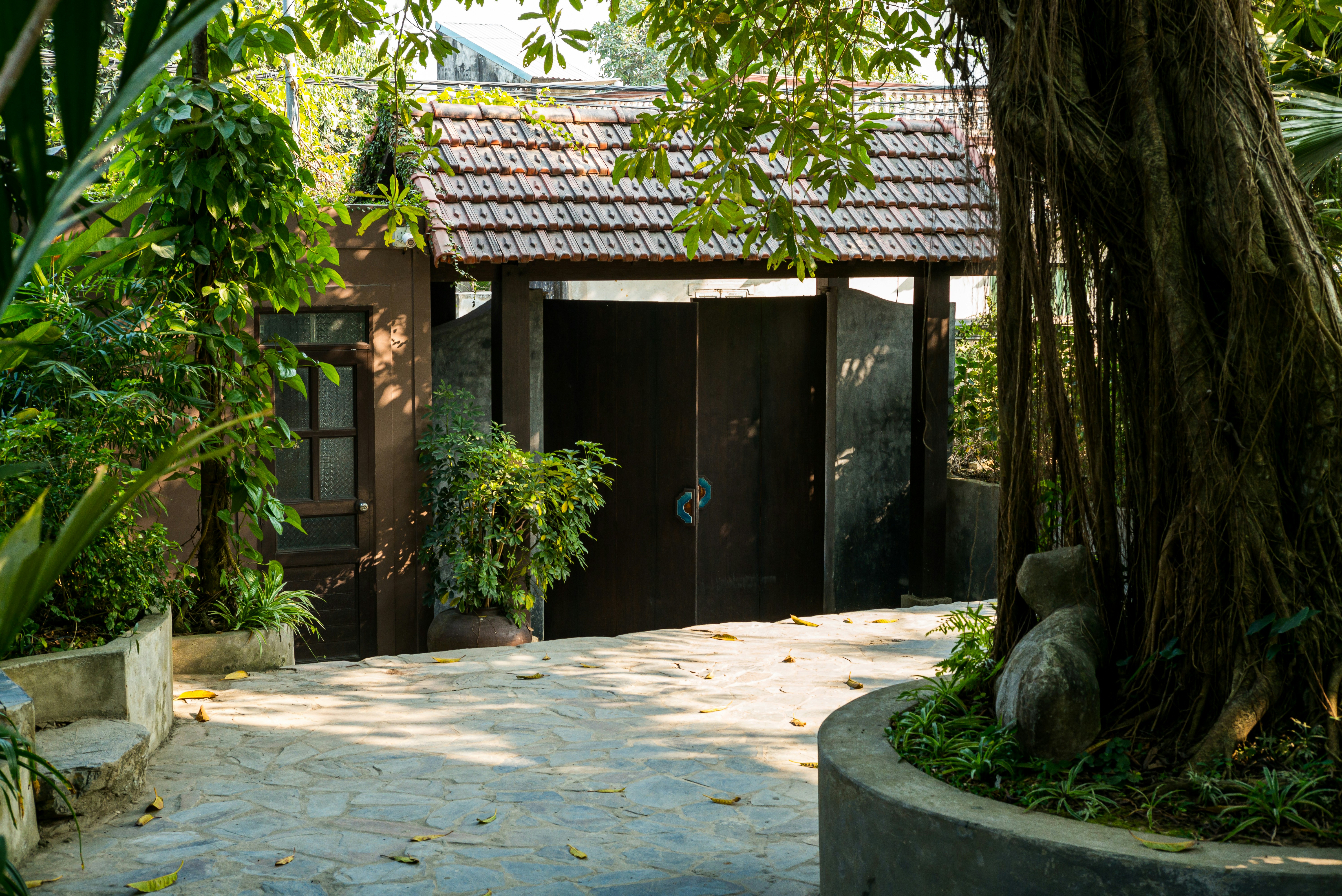 Photo by donguyenkhanhs