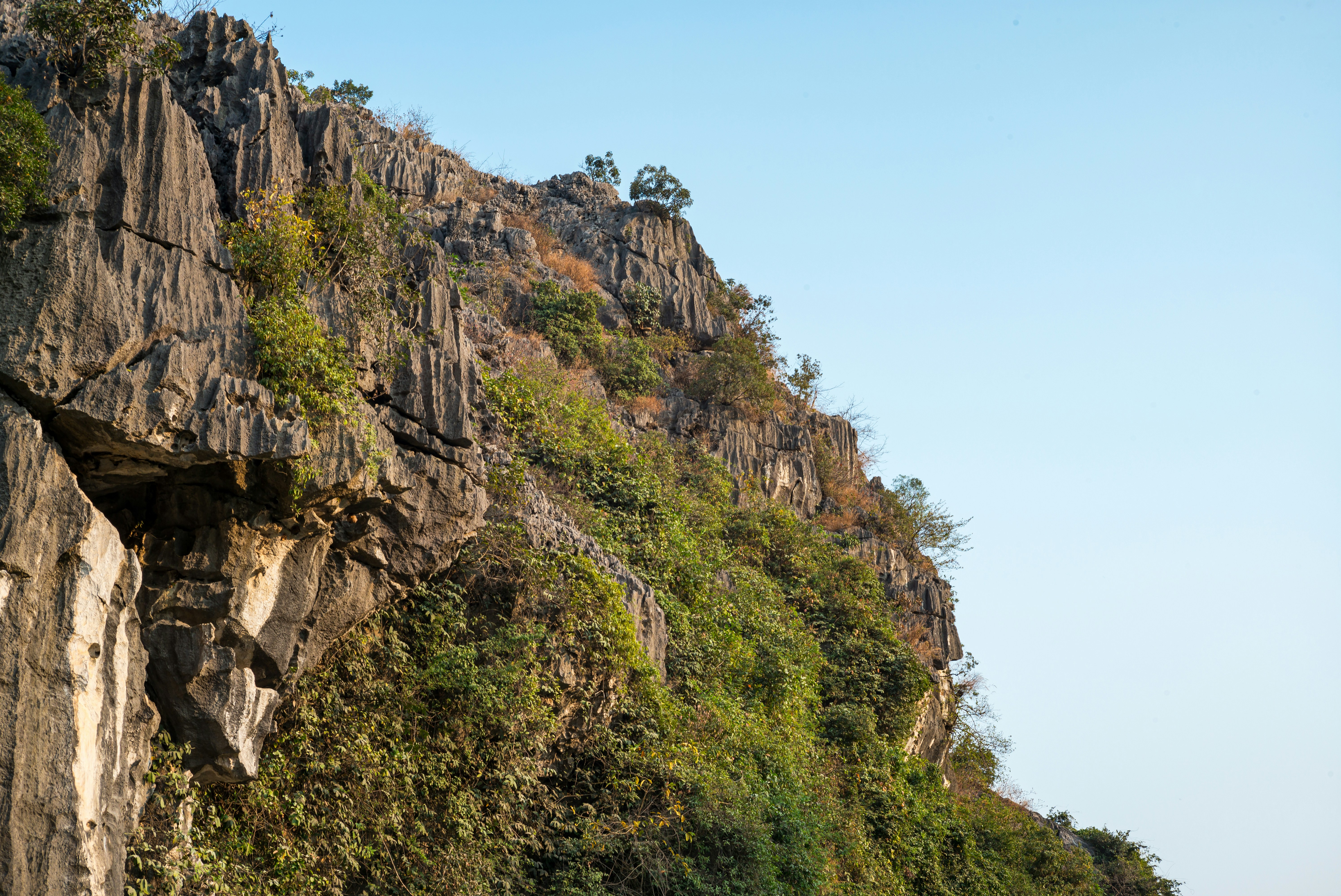 Photo by donguyenkhanhs