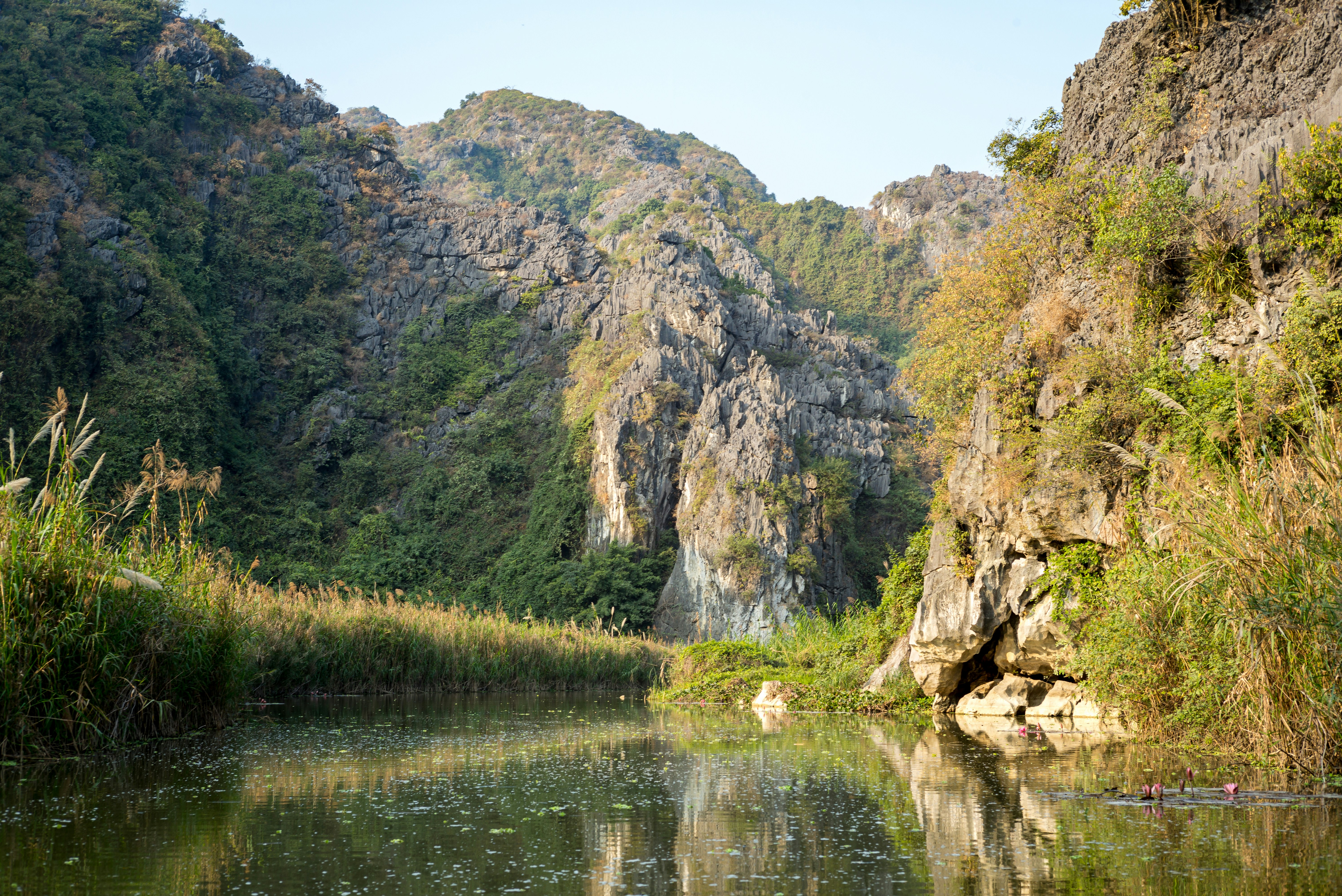 Photo by donguyenkhanhs