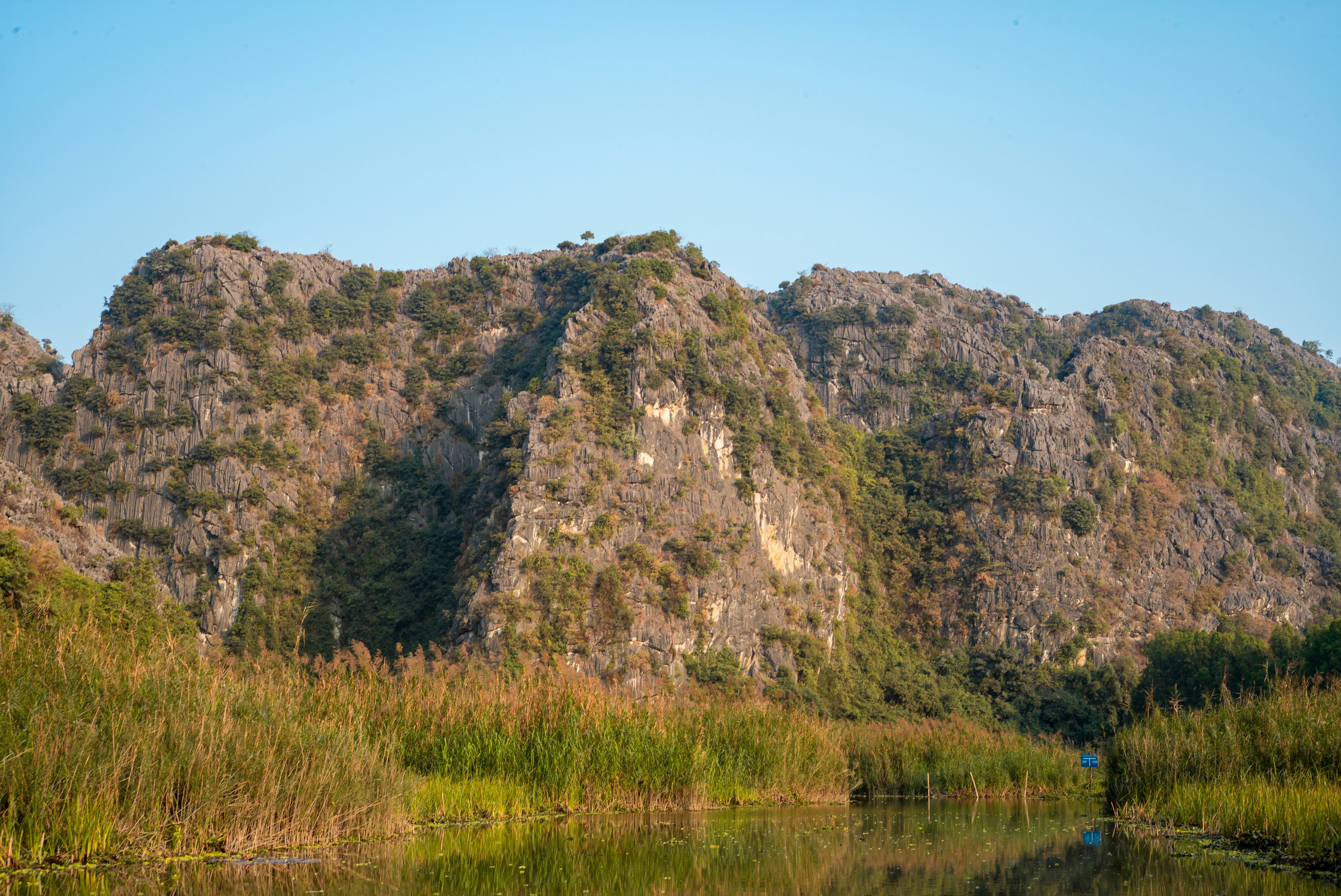 Photo by donguyenkhanhs