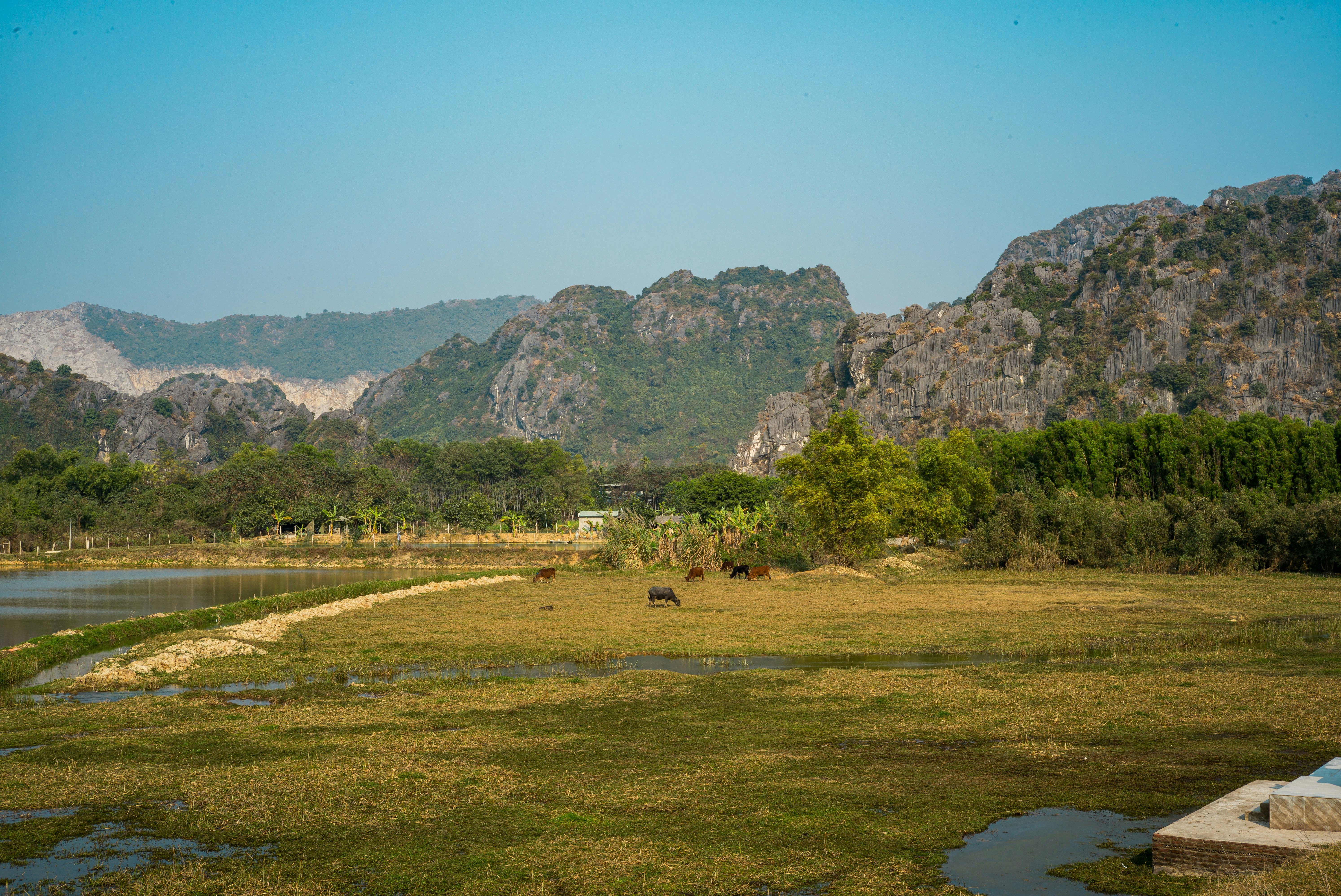 Photo by donguyenkhanhs