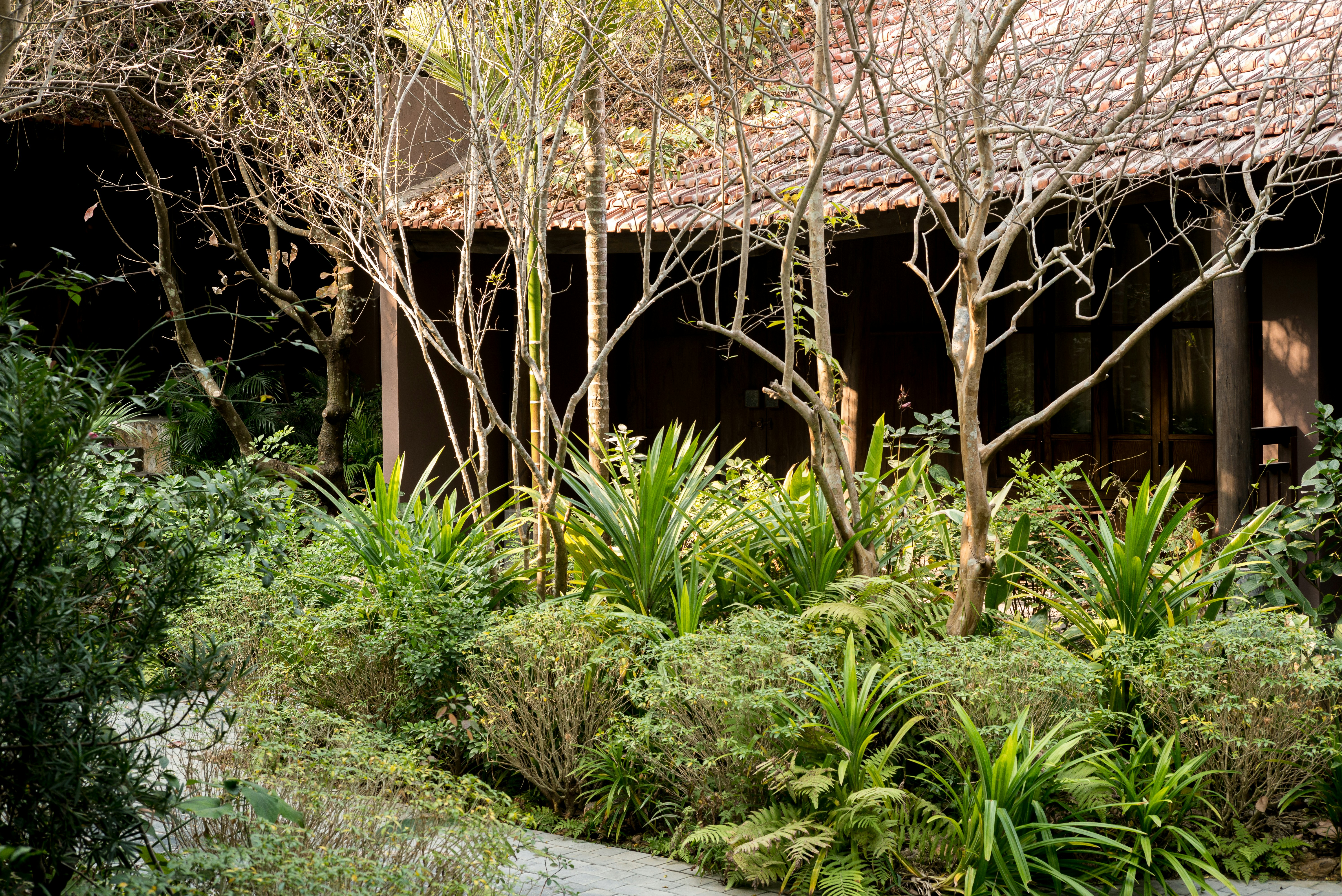 Photo by donguyenkhanhs