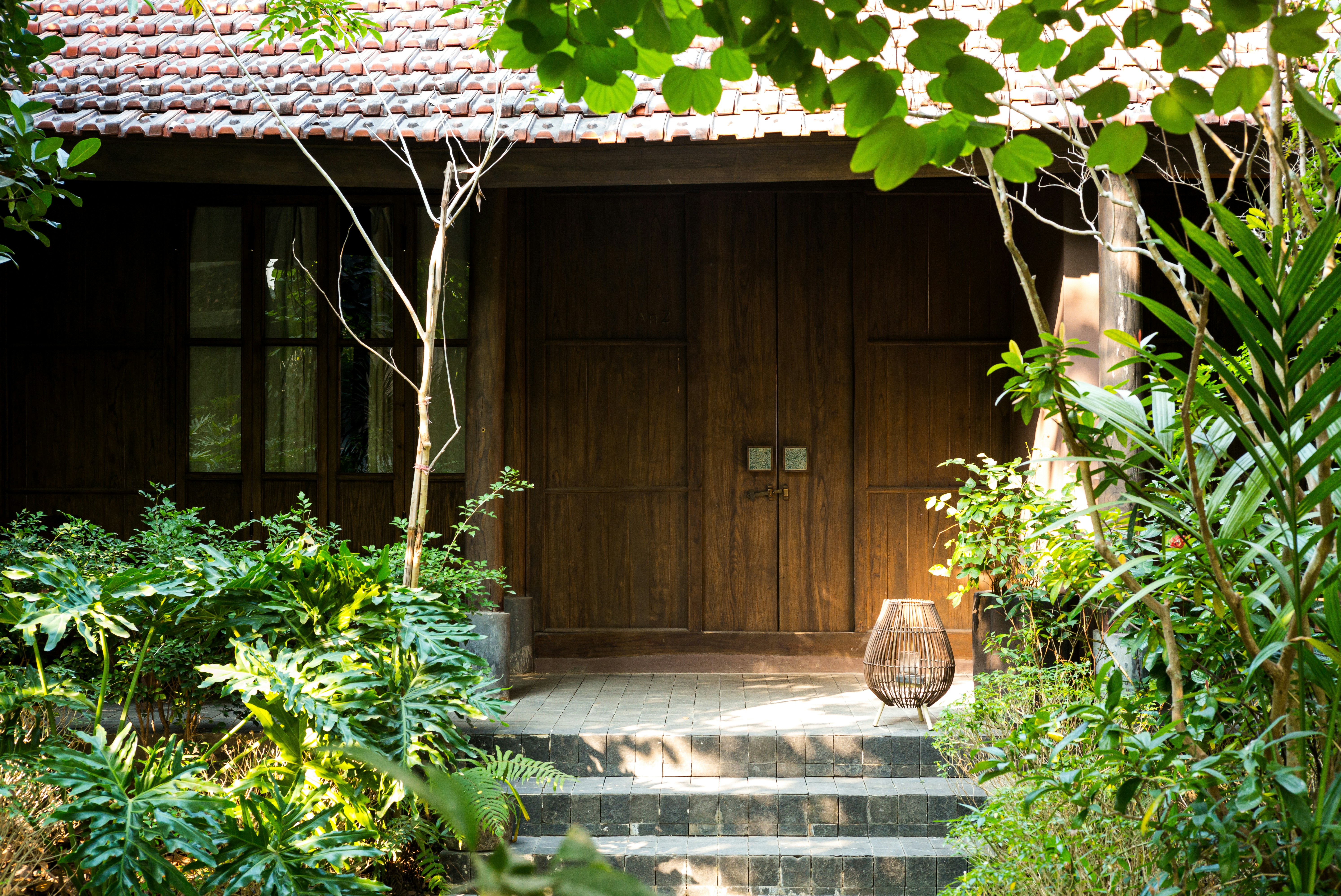 Photo by donguyenkhanhs