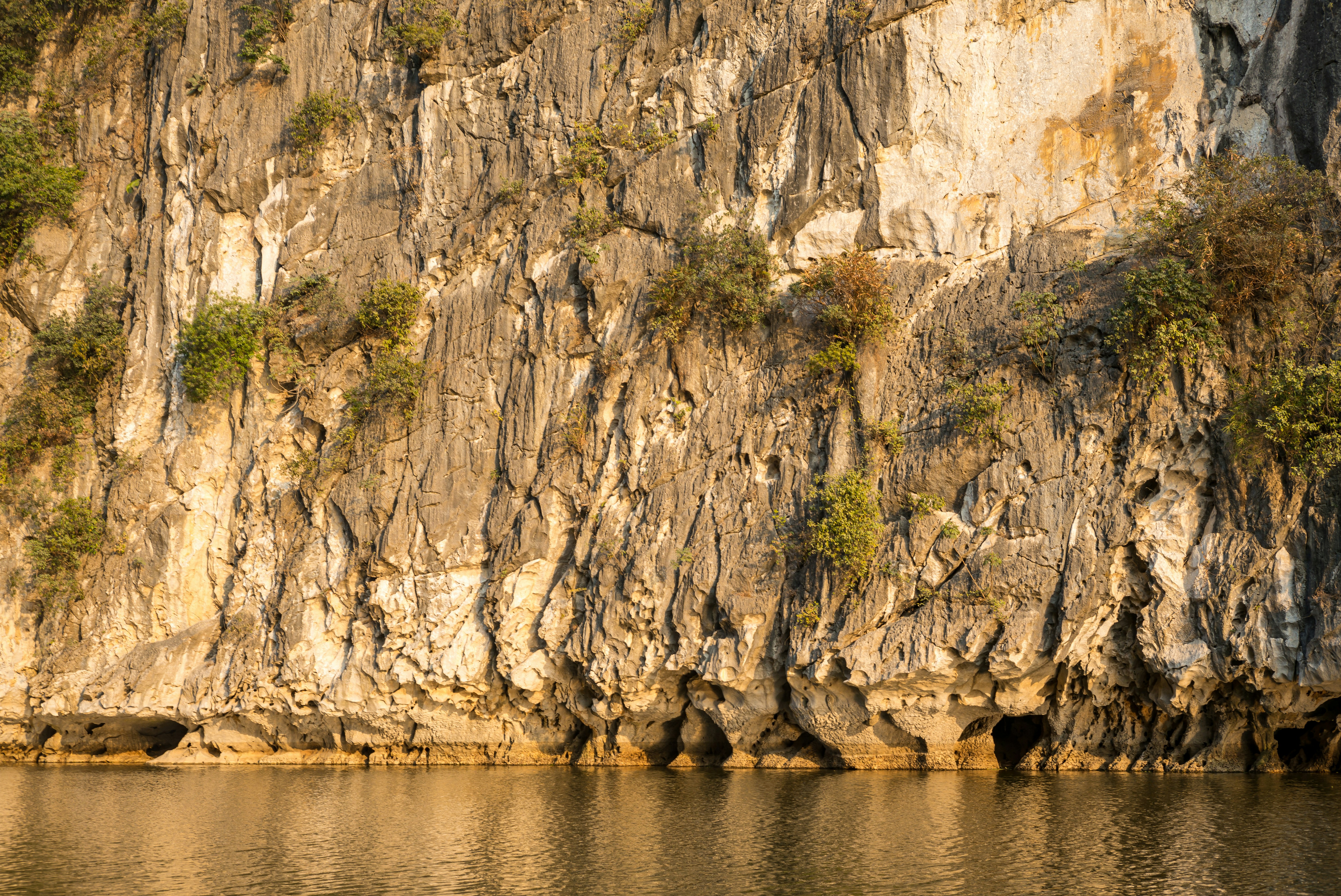 Photo by donguyenkhanhs