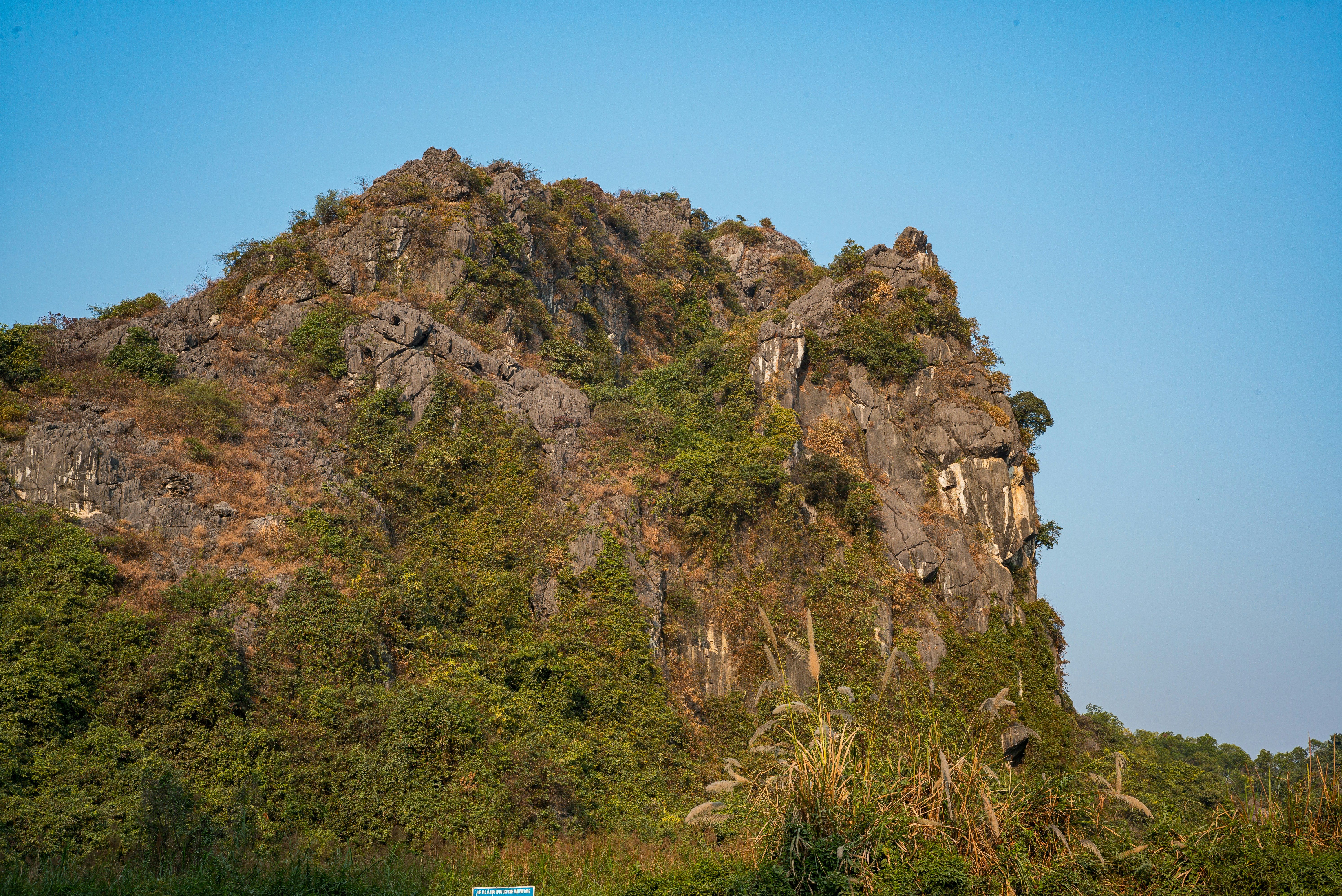 Photo by donguyenkhanhs