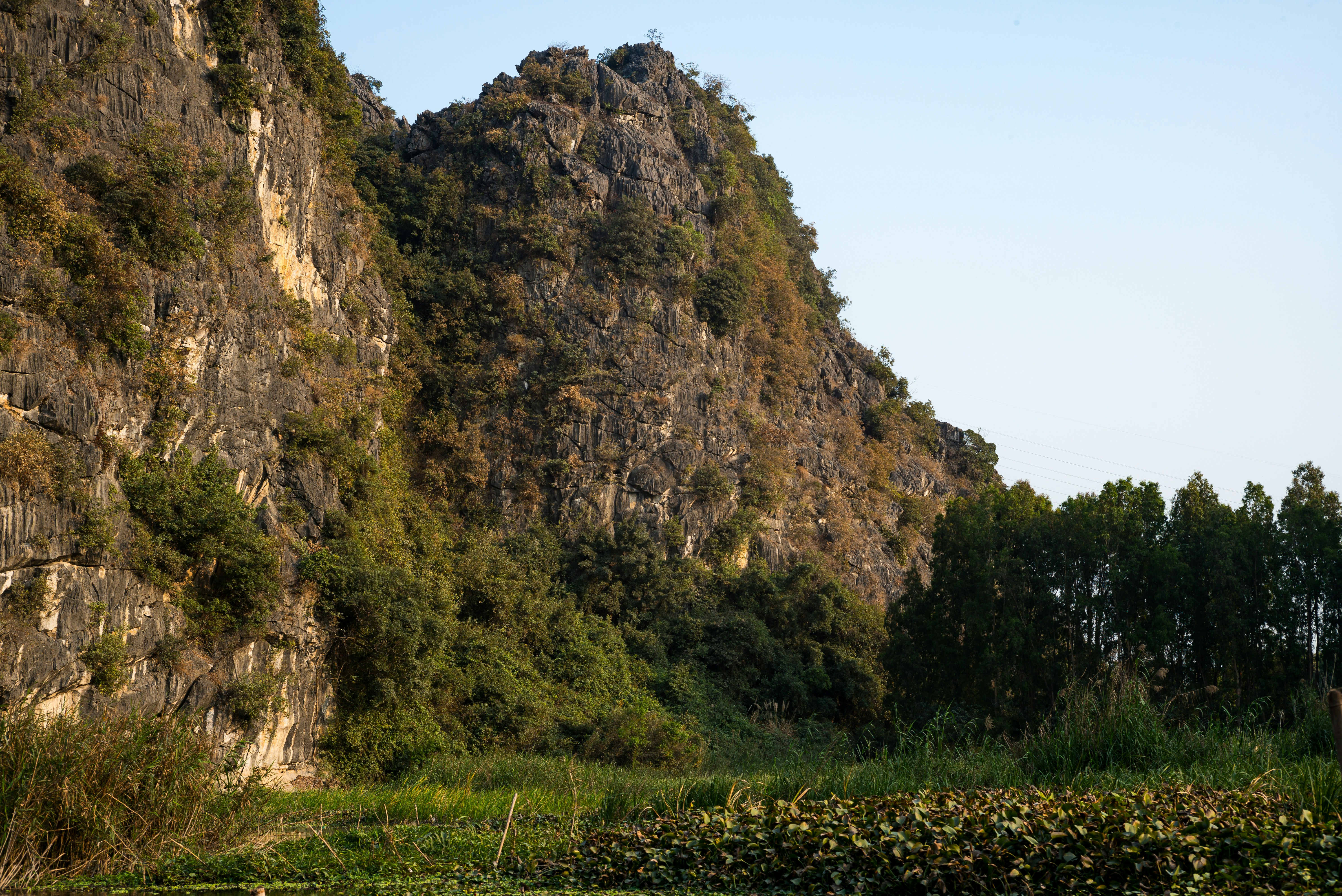 Photo by donguyenkhanhs