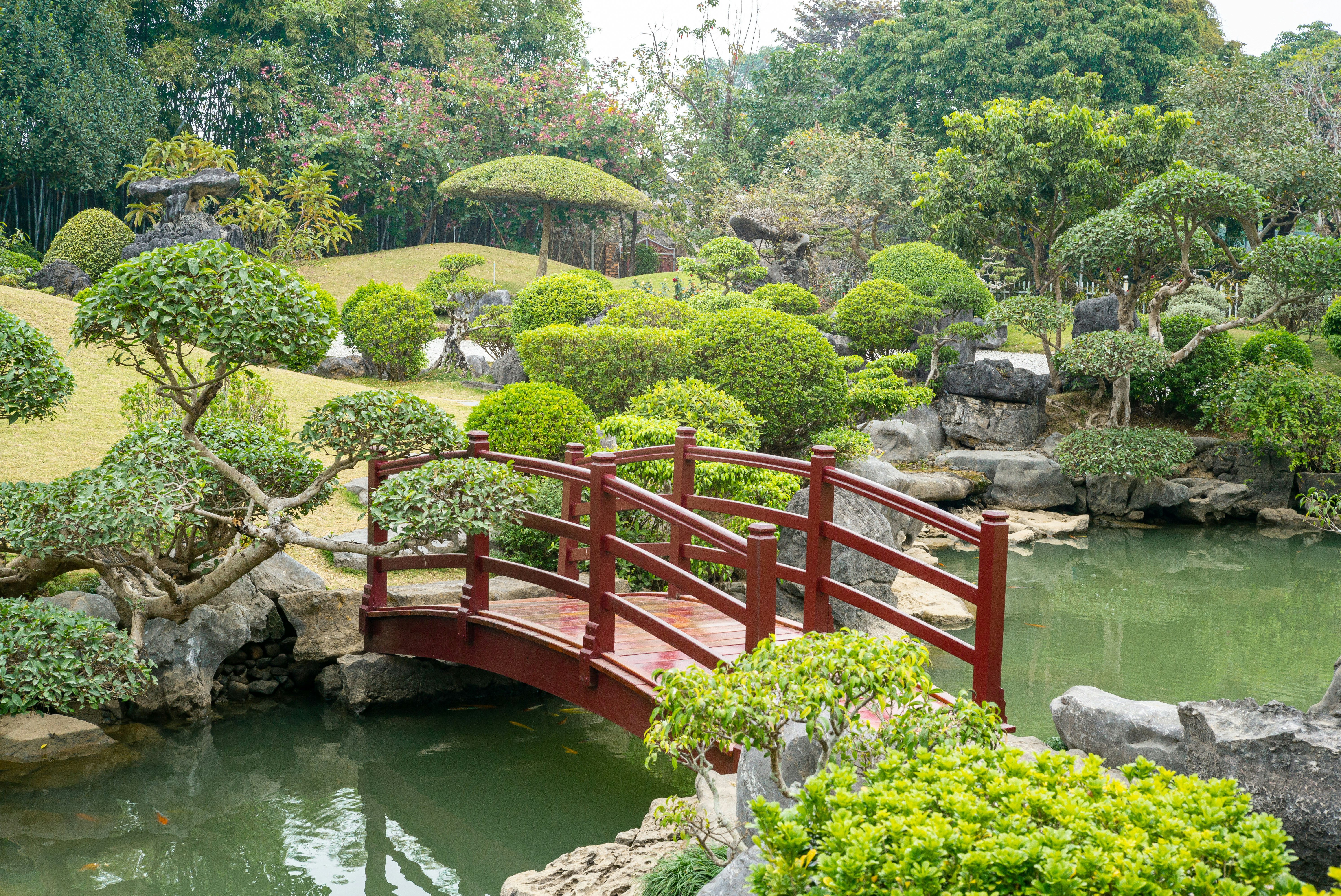 Photo by donguyenkhanhs