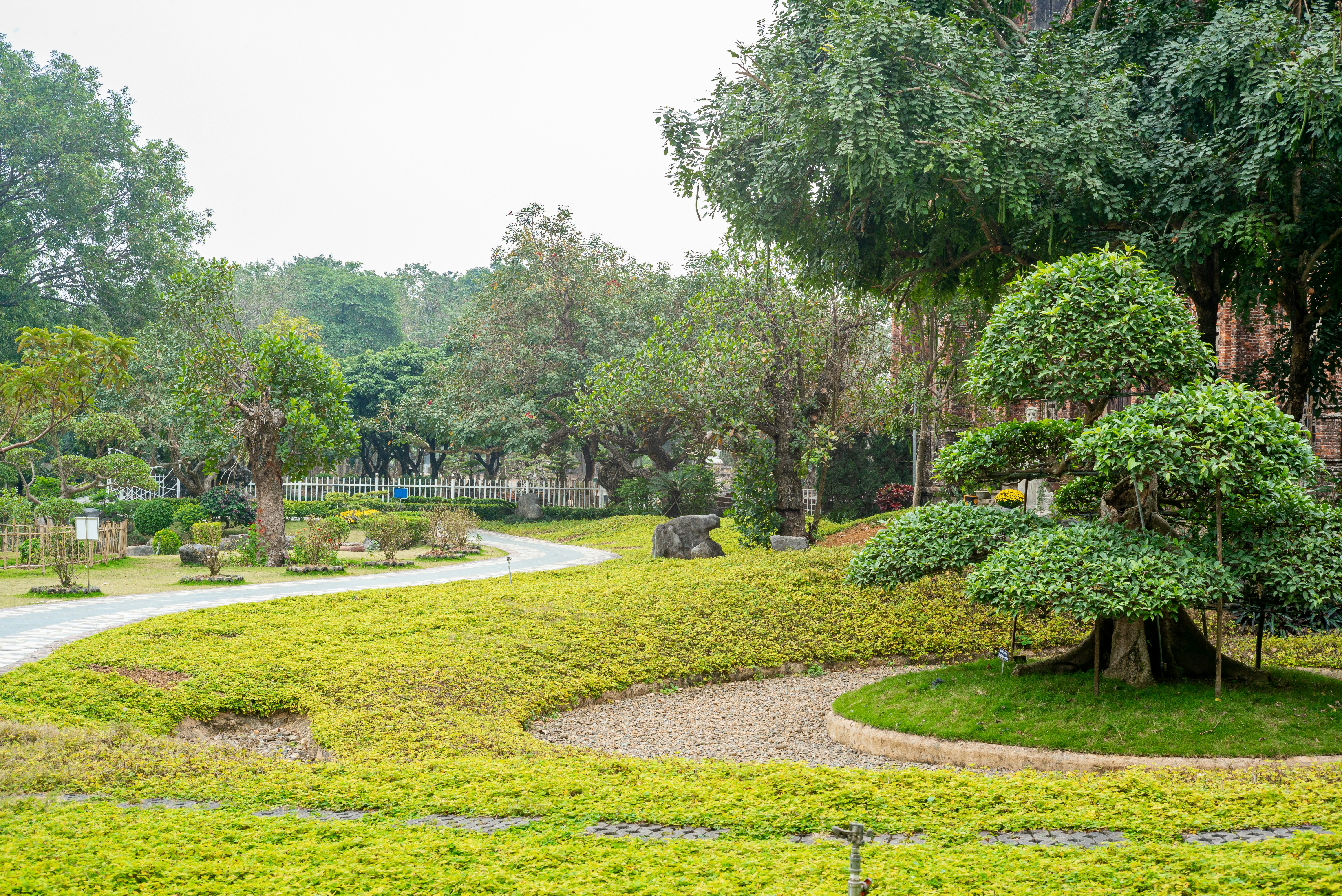 Photo by donguyenkhanhs