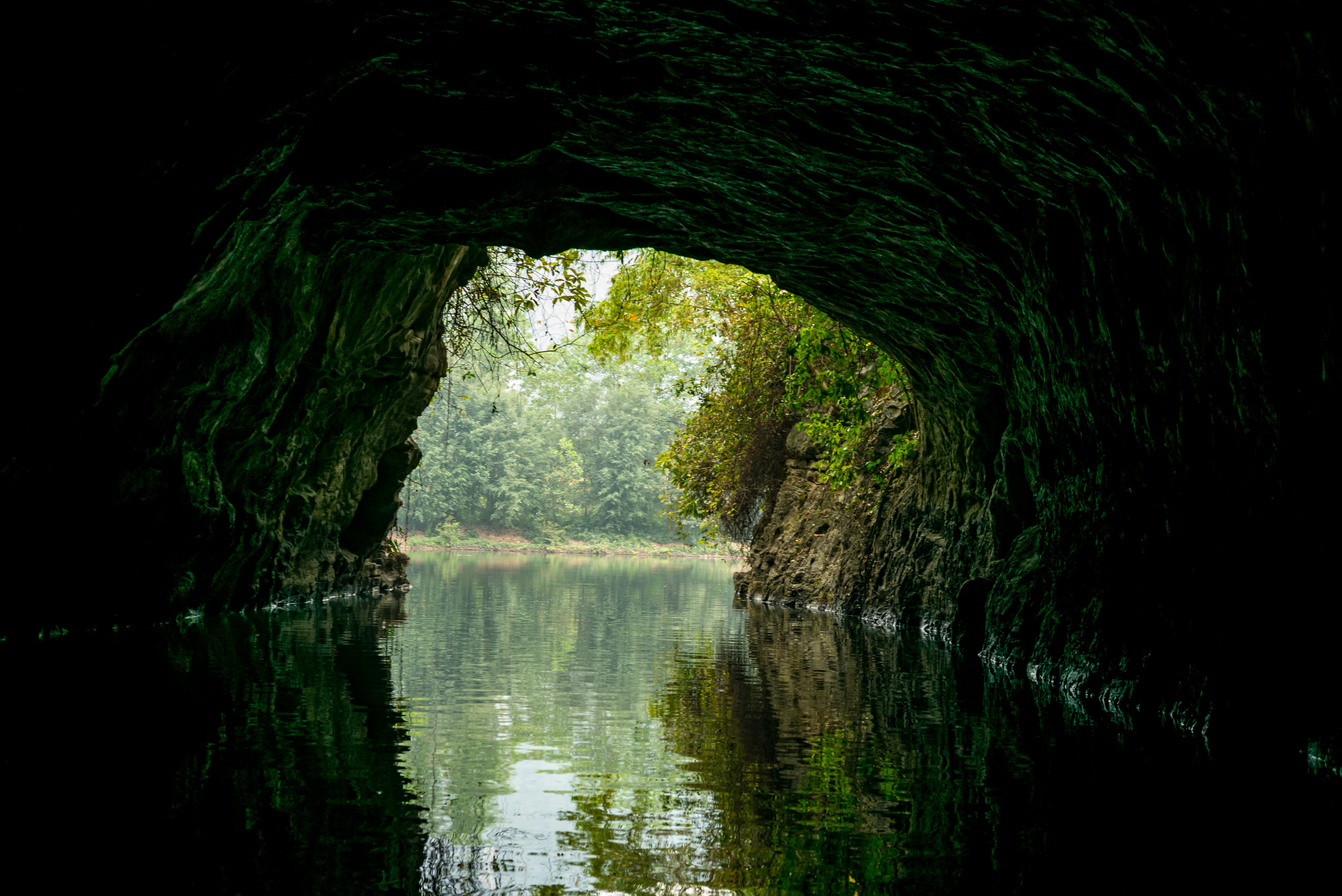 Photo by donguyenkhanhs