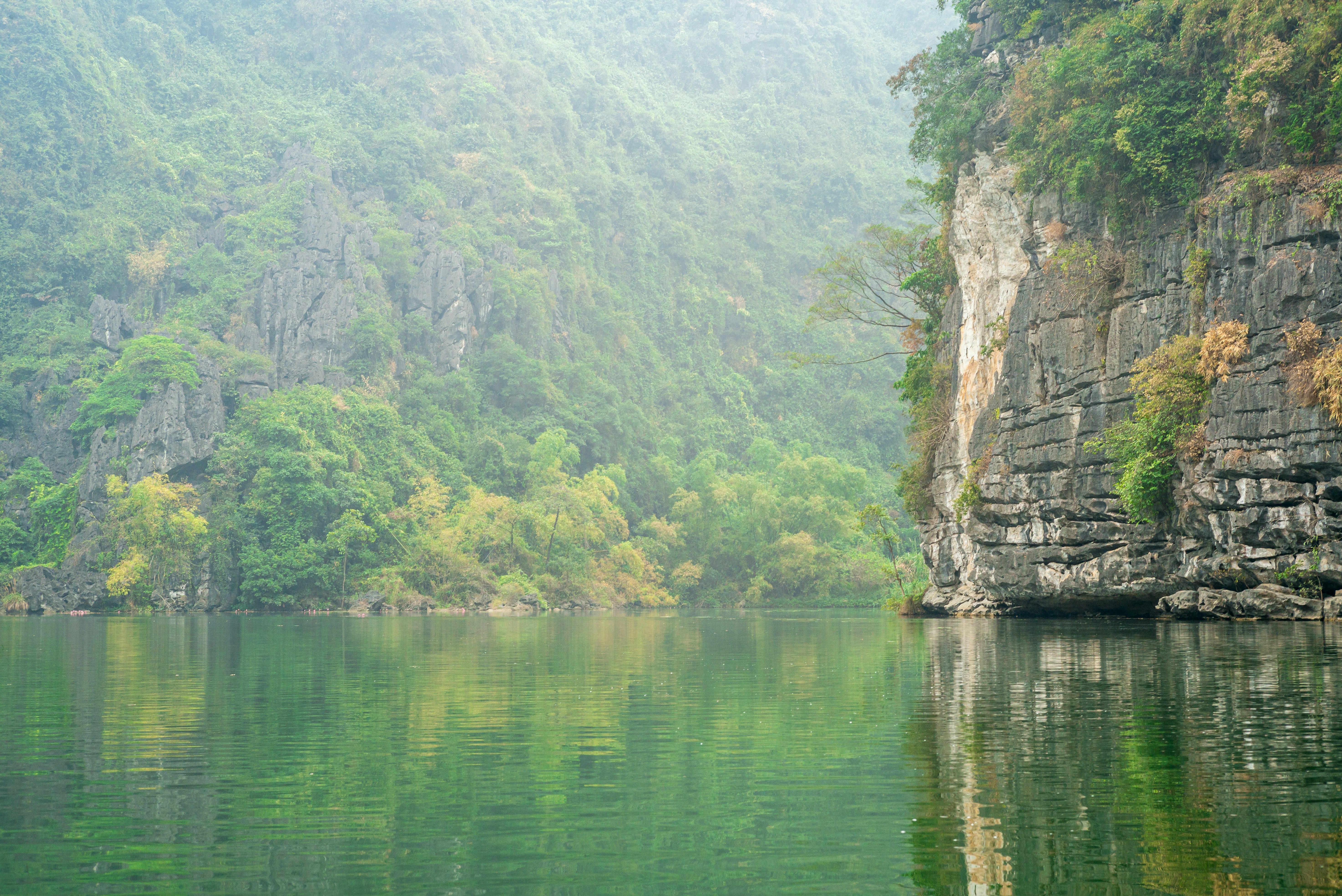 Photo by donguyenkhanhs