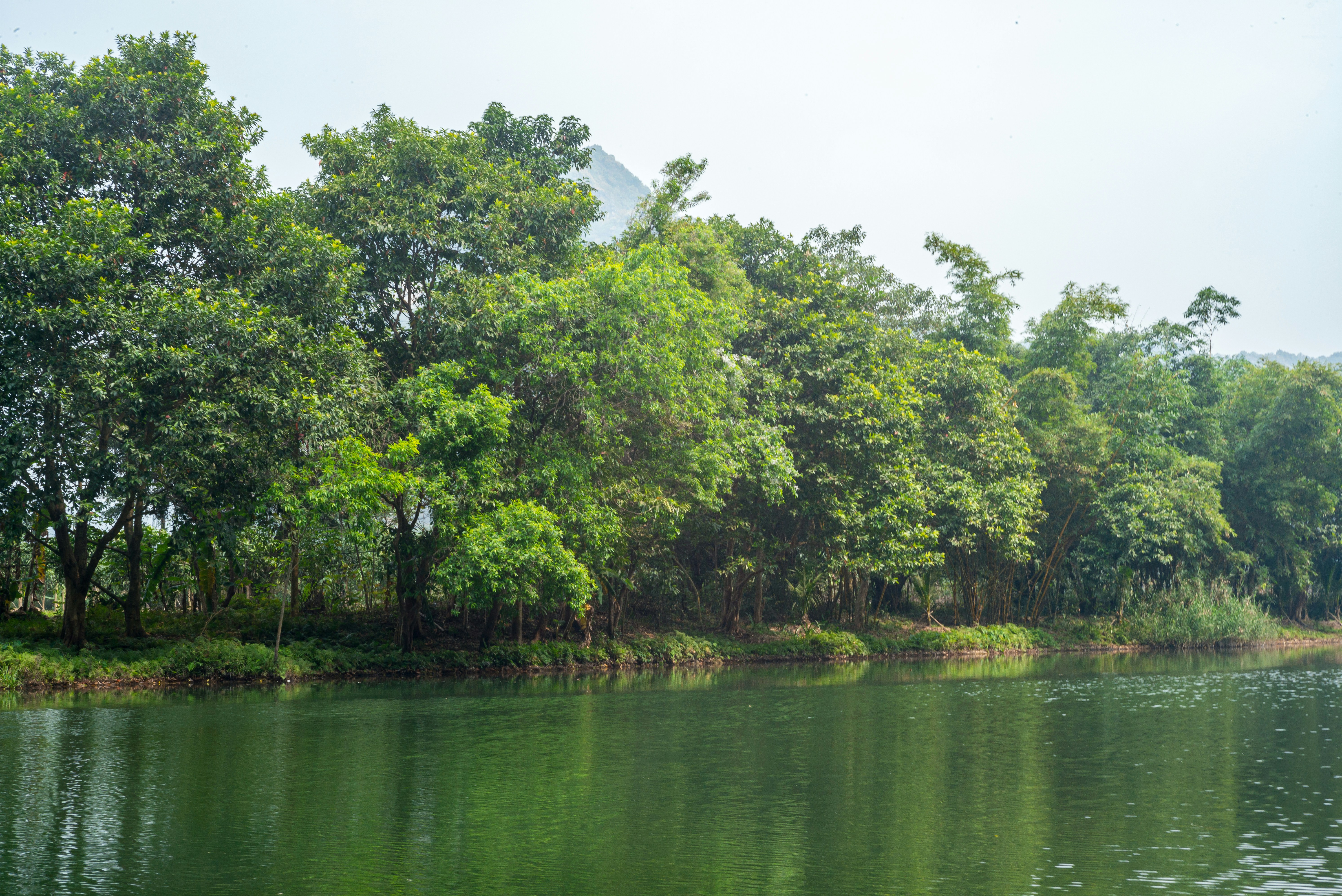 Photo by donguyenkhanhs