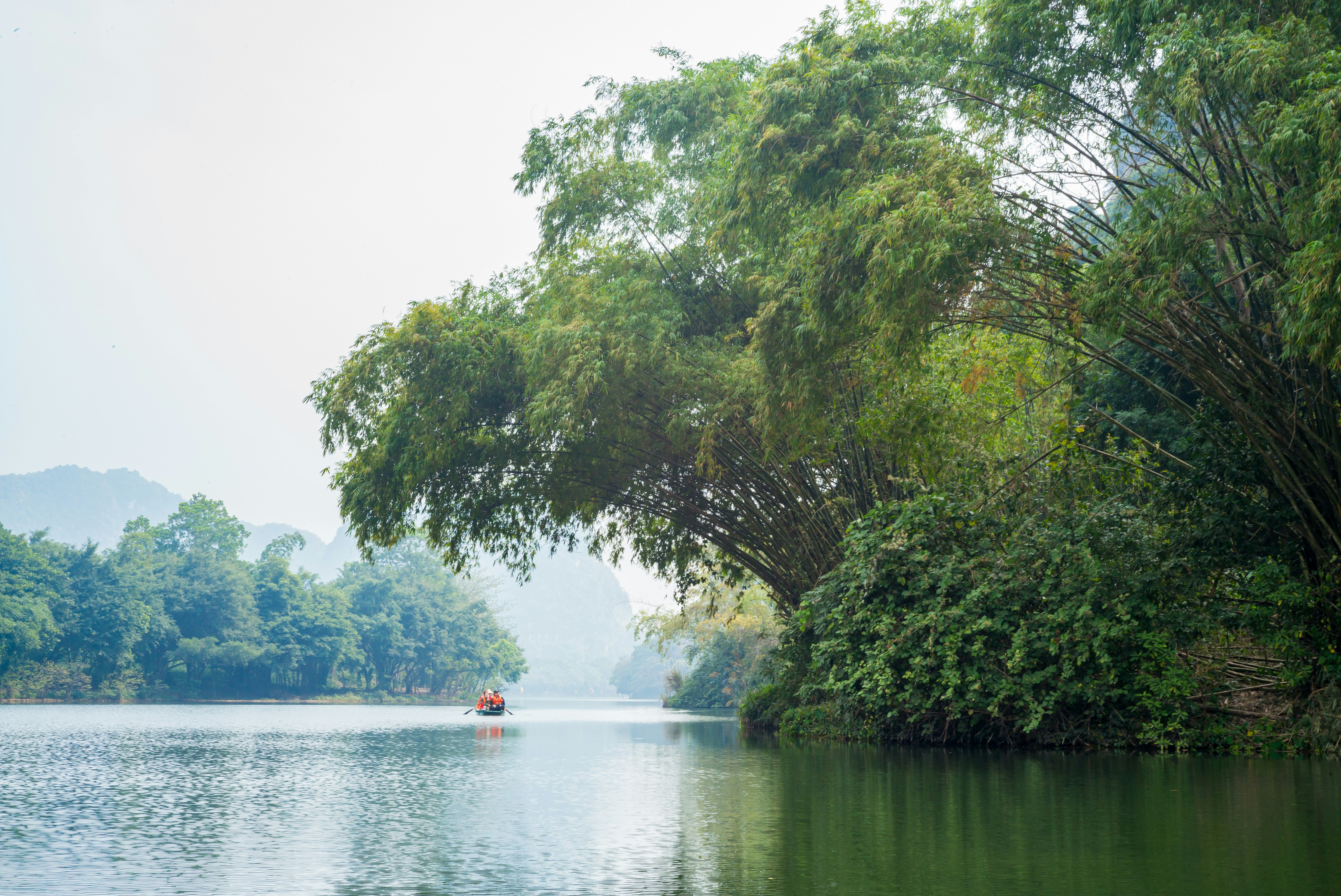 Photo by donguyenkhanhs