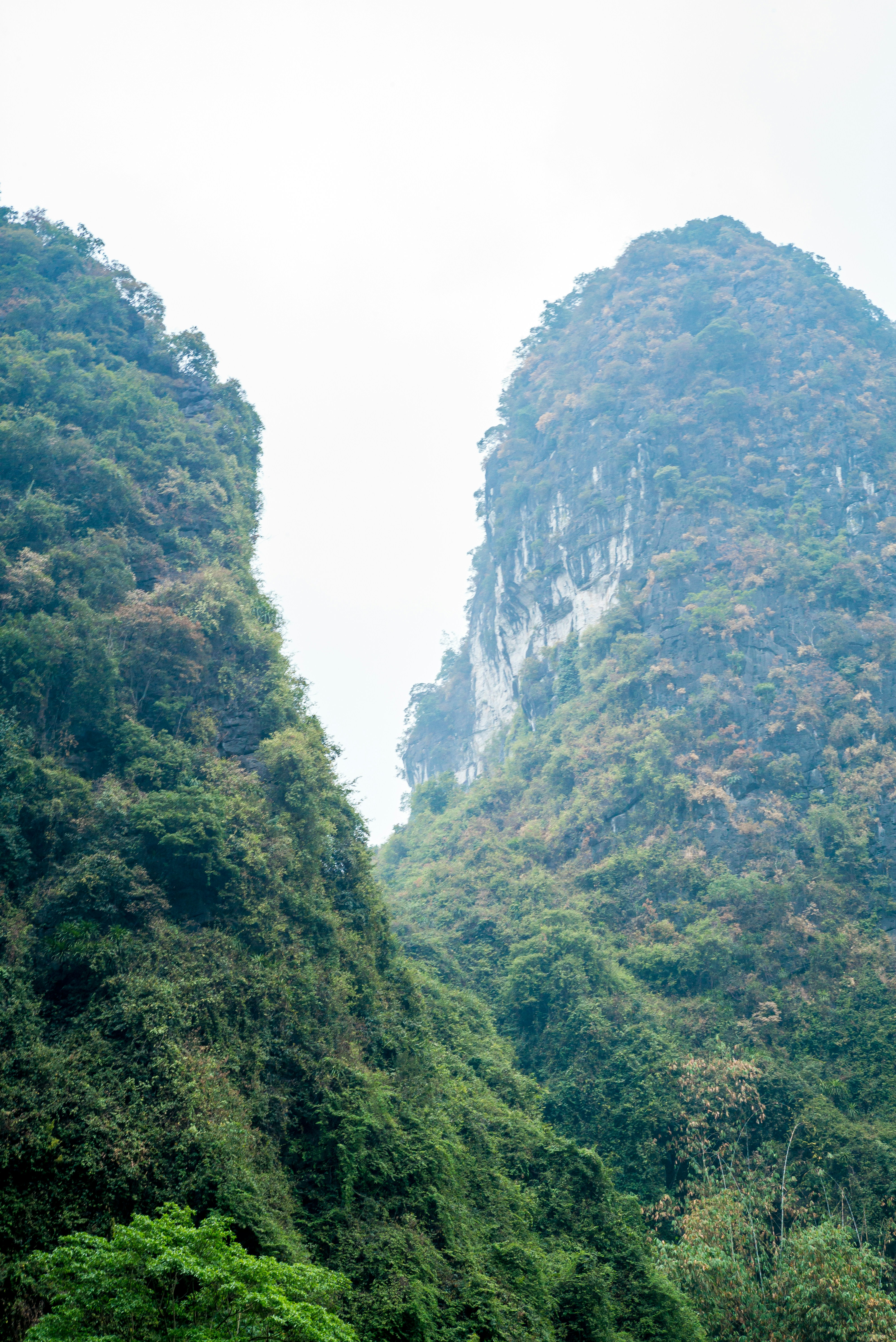 Photo by donguyenkhanhs