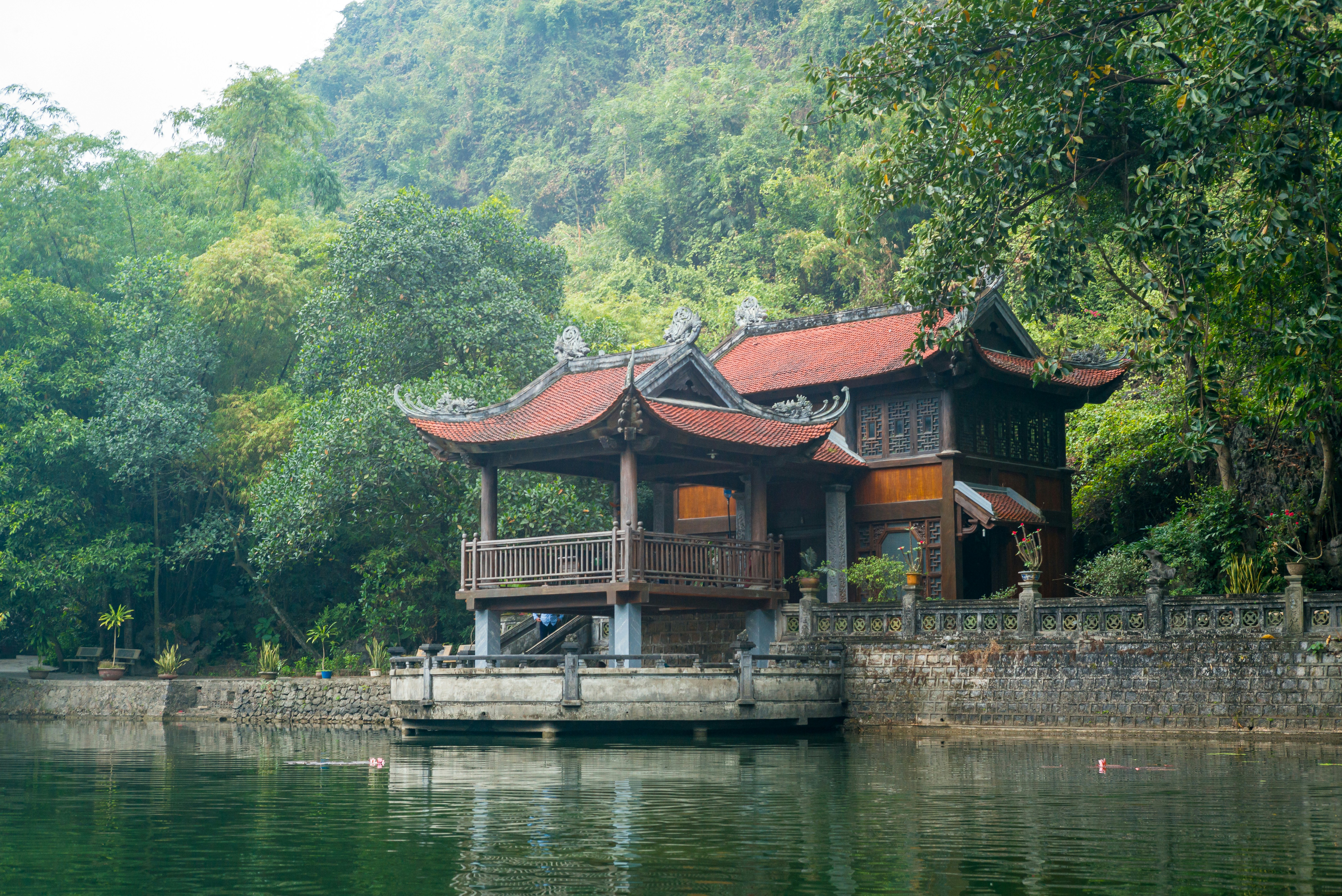 Photo by donguyenkhanhs