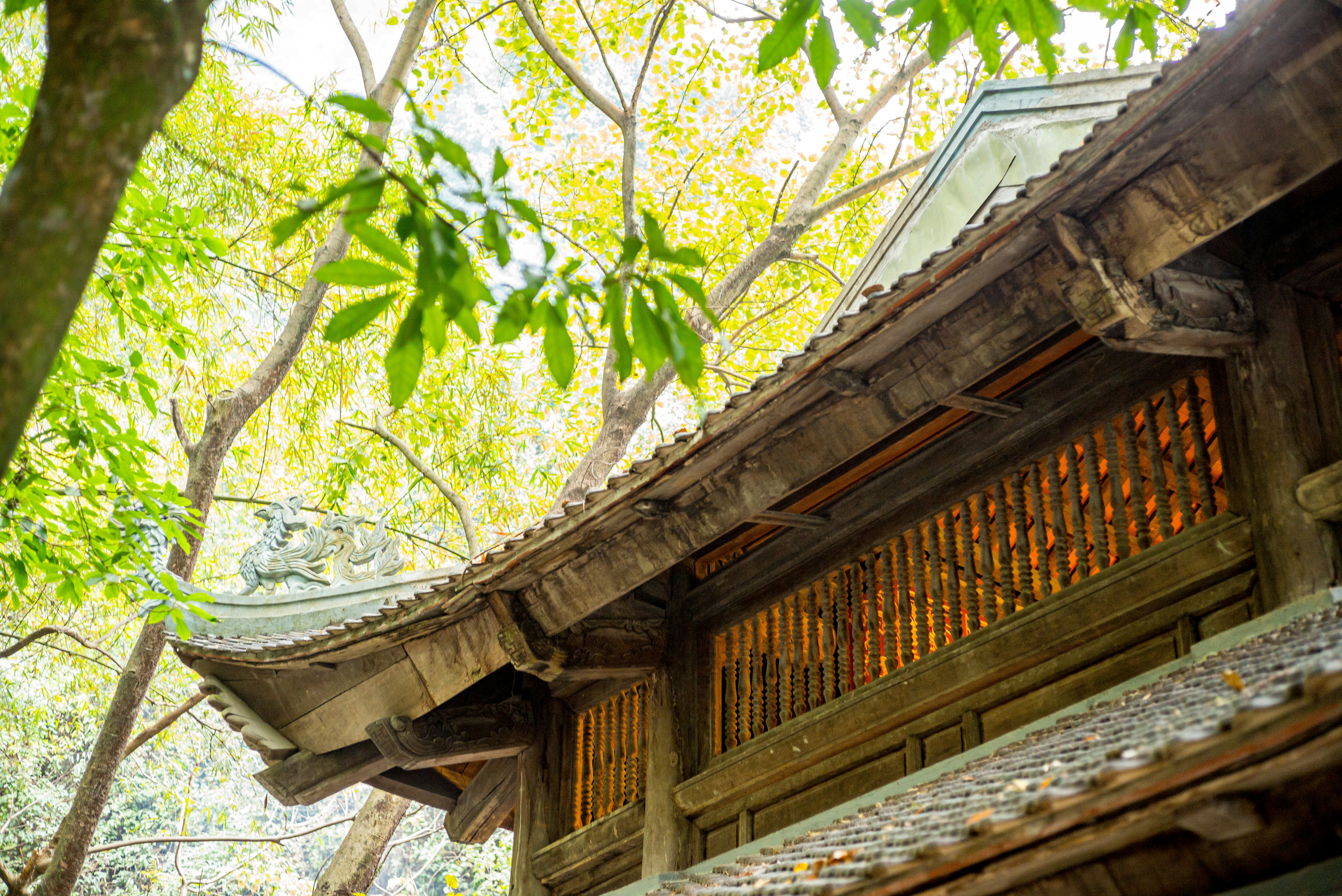 Photo by donguyenkhanhs