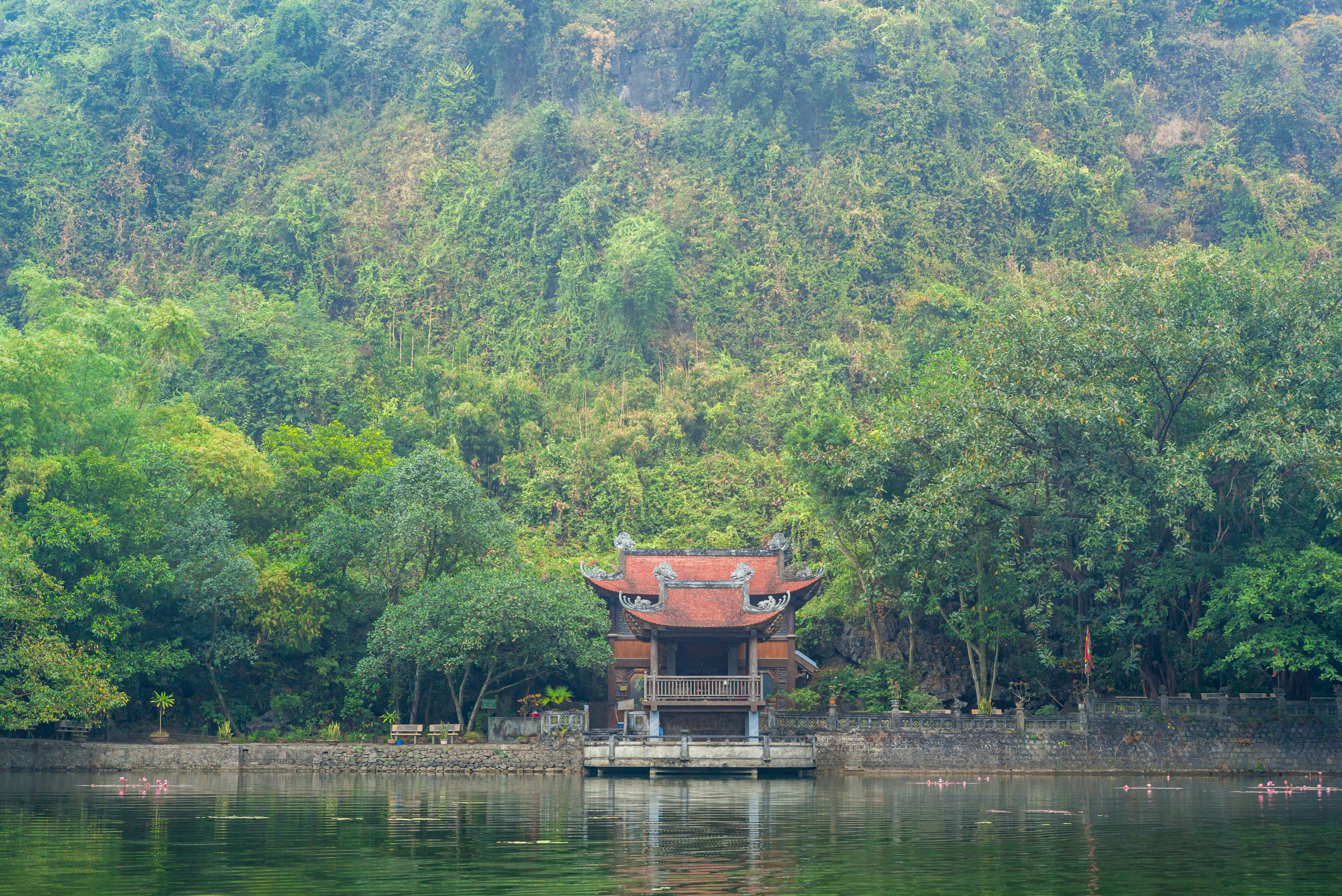 Photo by donguyenkhanhs