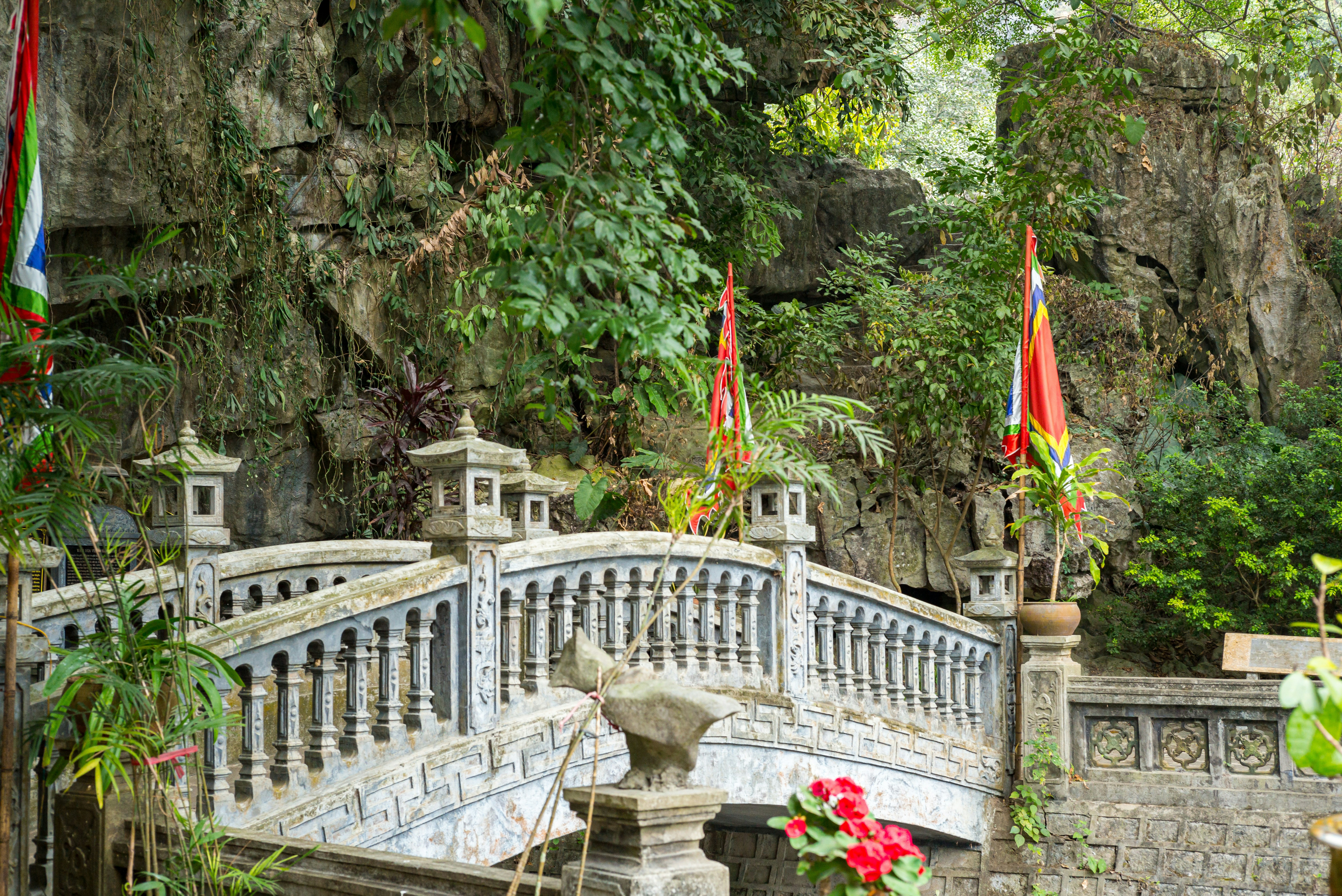 Photo by donguyenkhanhs