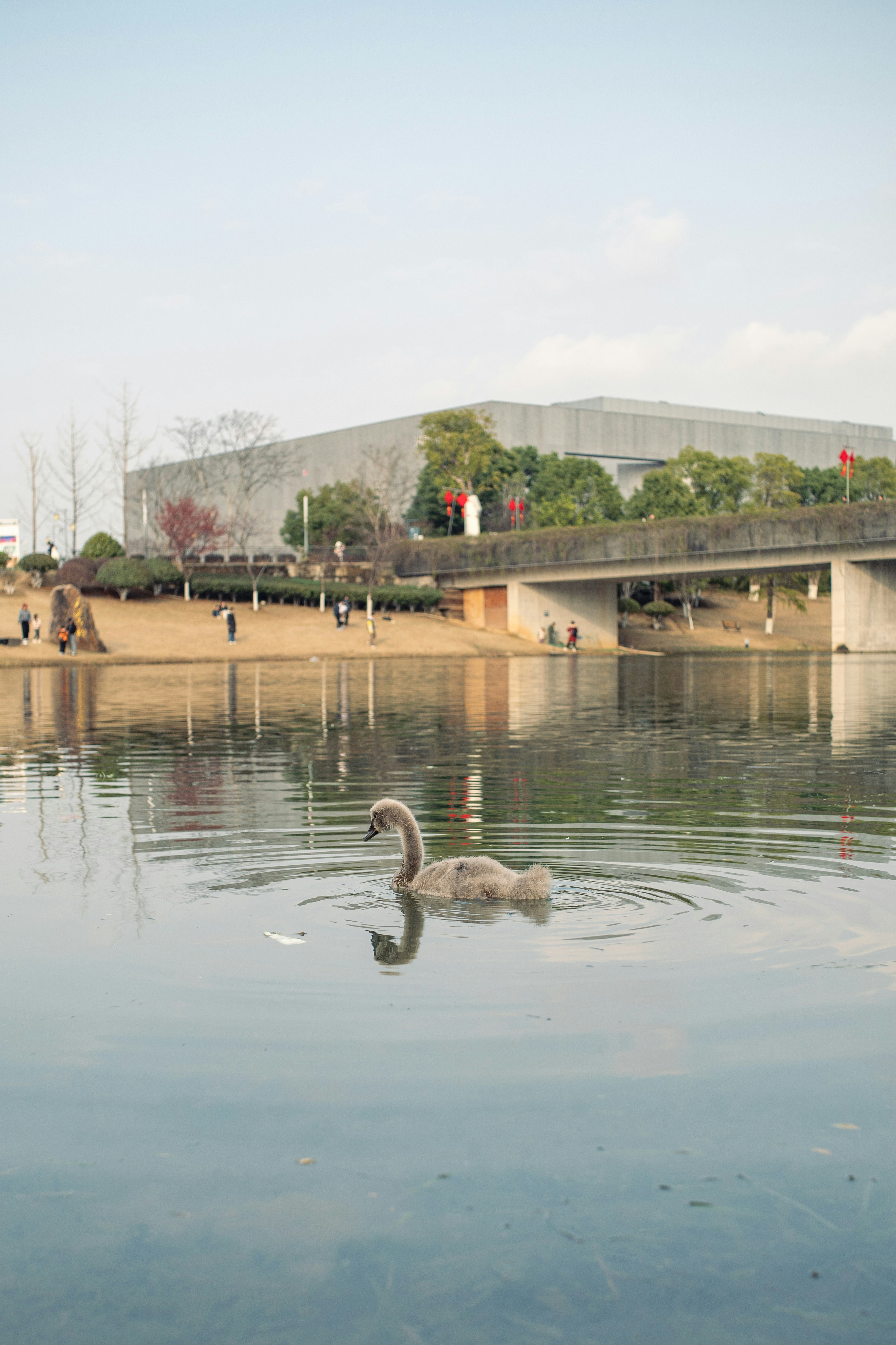 Hiroshima City Asa Zoological Park photo 2