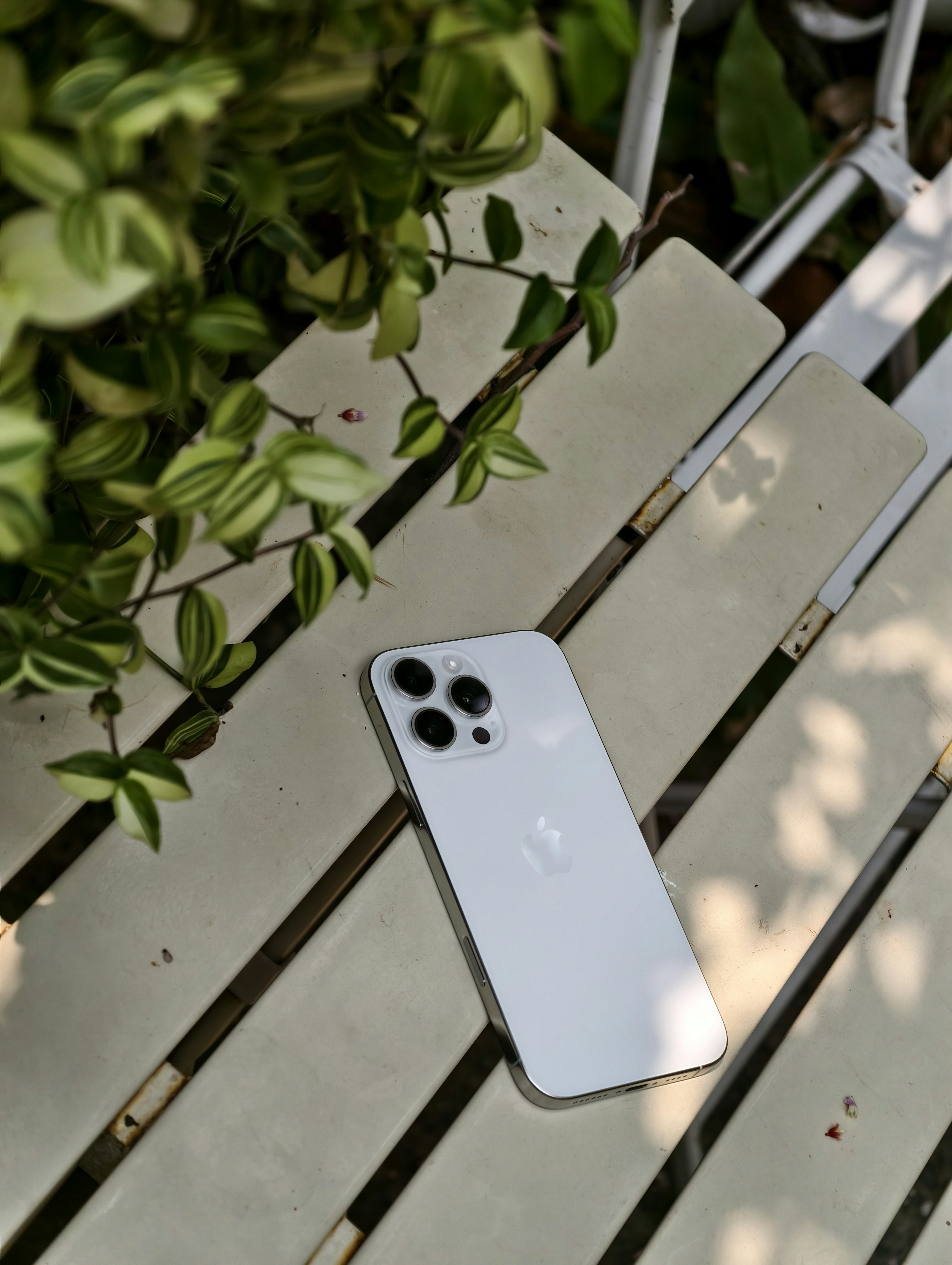 An iPhone is sitting on a wooden bench