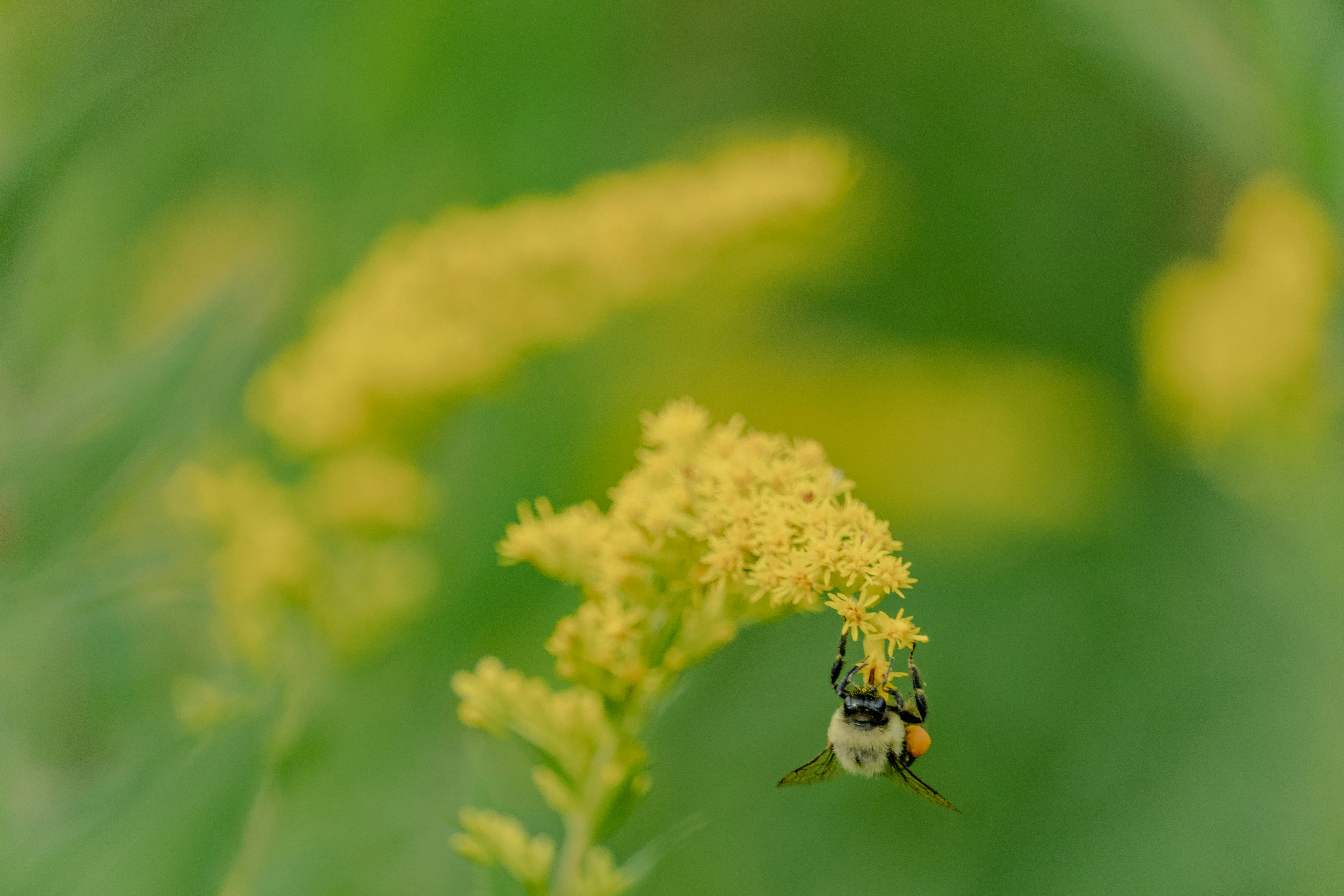 Photo by whereiskylenow