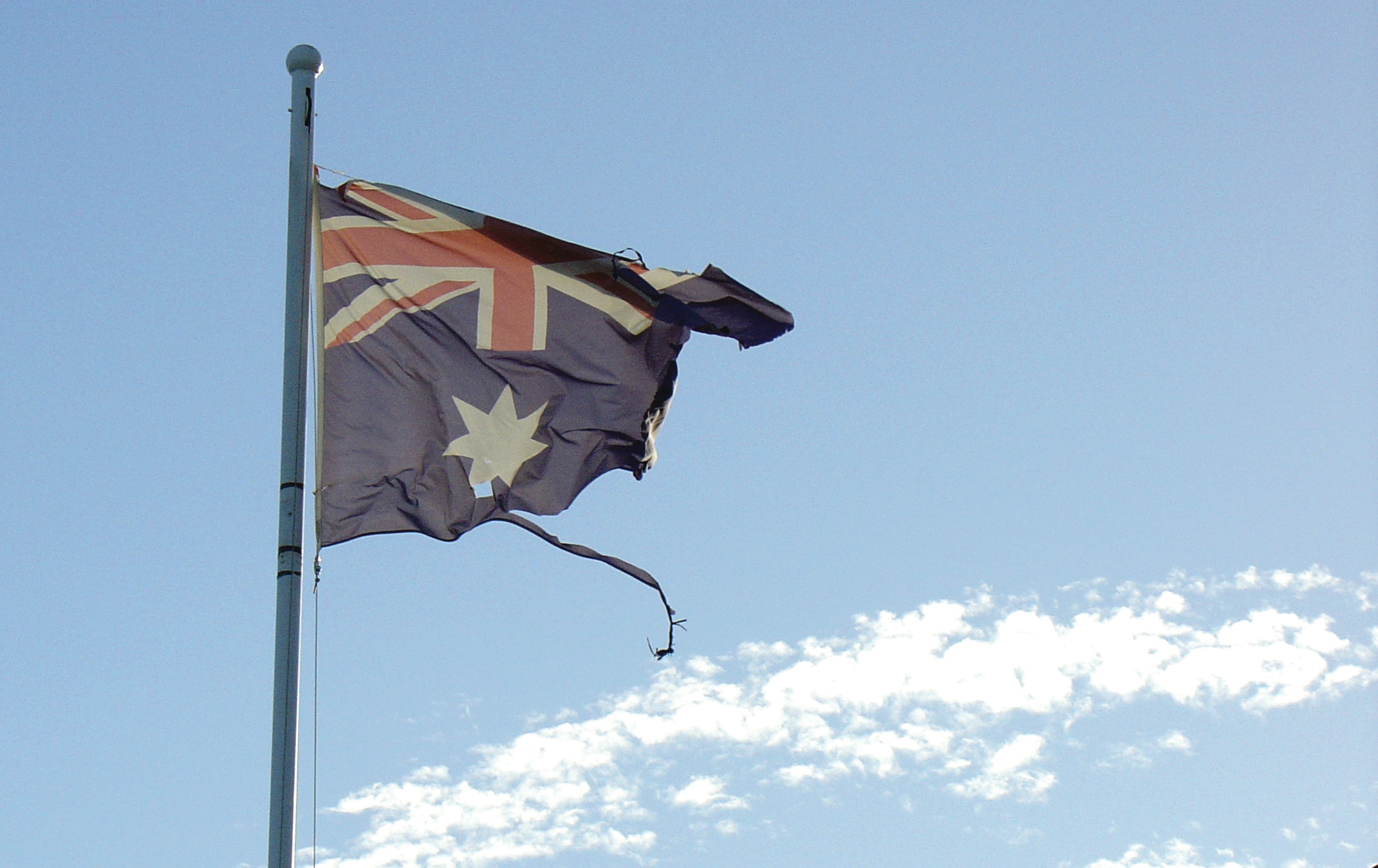 Feral Pig Crisis Devastates Sacred Aboriginal Sites in Queensland