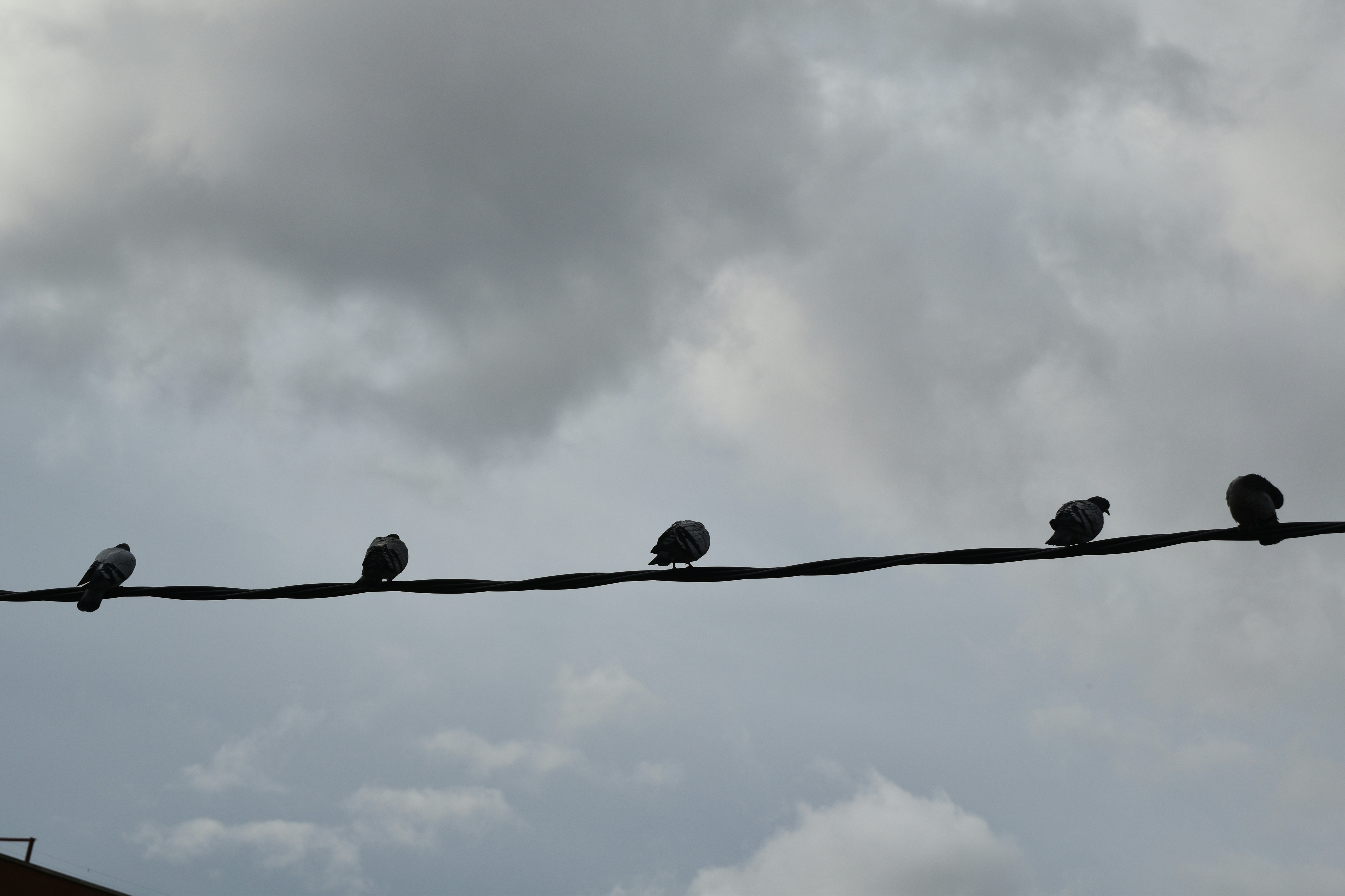 Photo by niloufarmirhadi