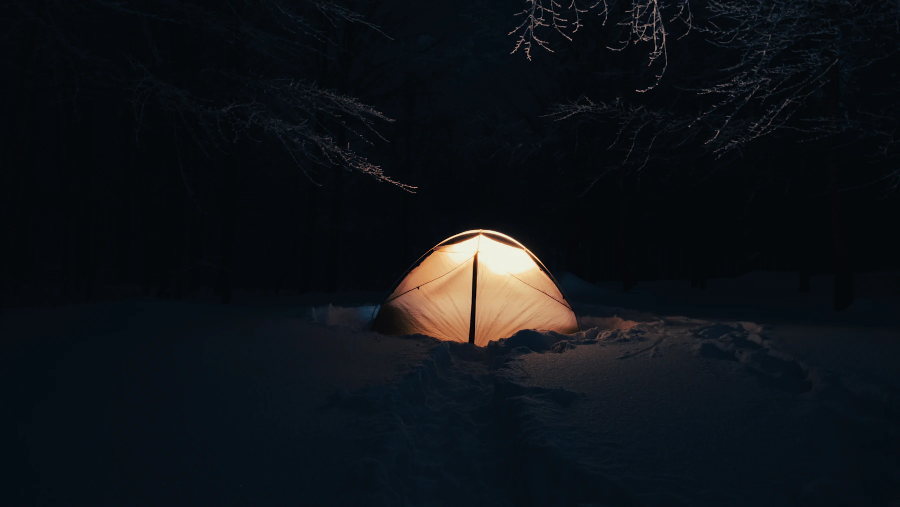 An illuminated tent surrounded by a snowy forest at dusk