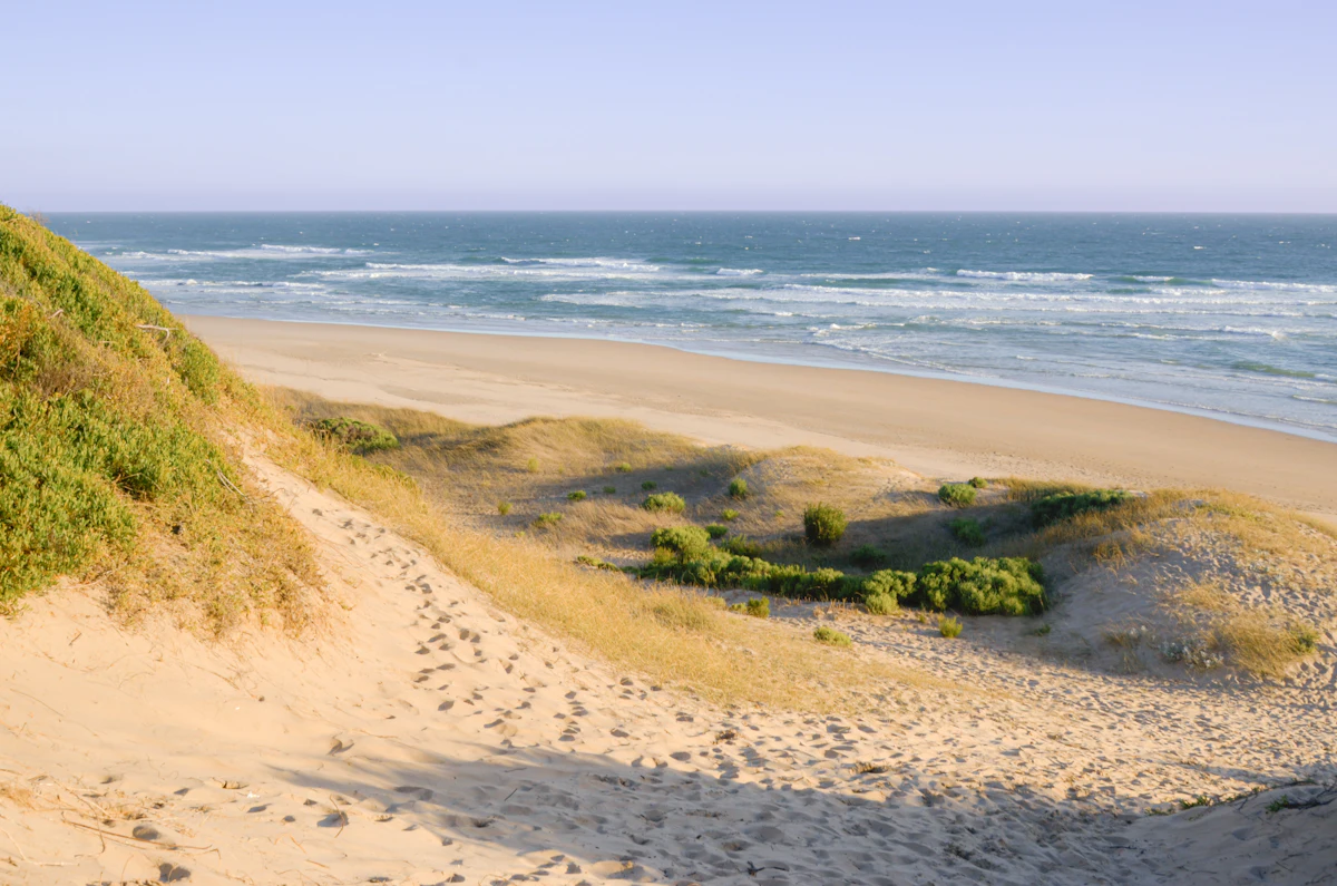 A sandy path through the dunes down to Wilderness Beach and the Indian Ocean