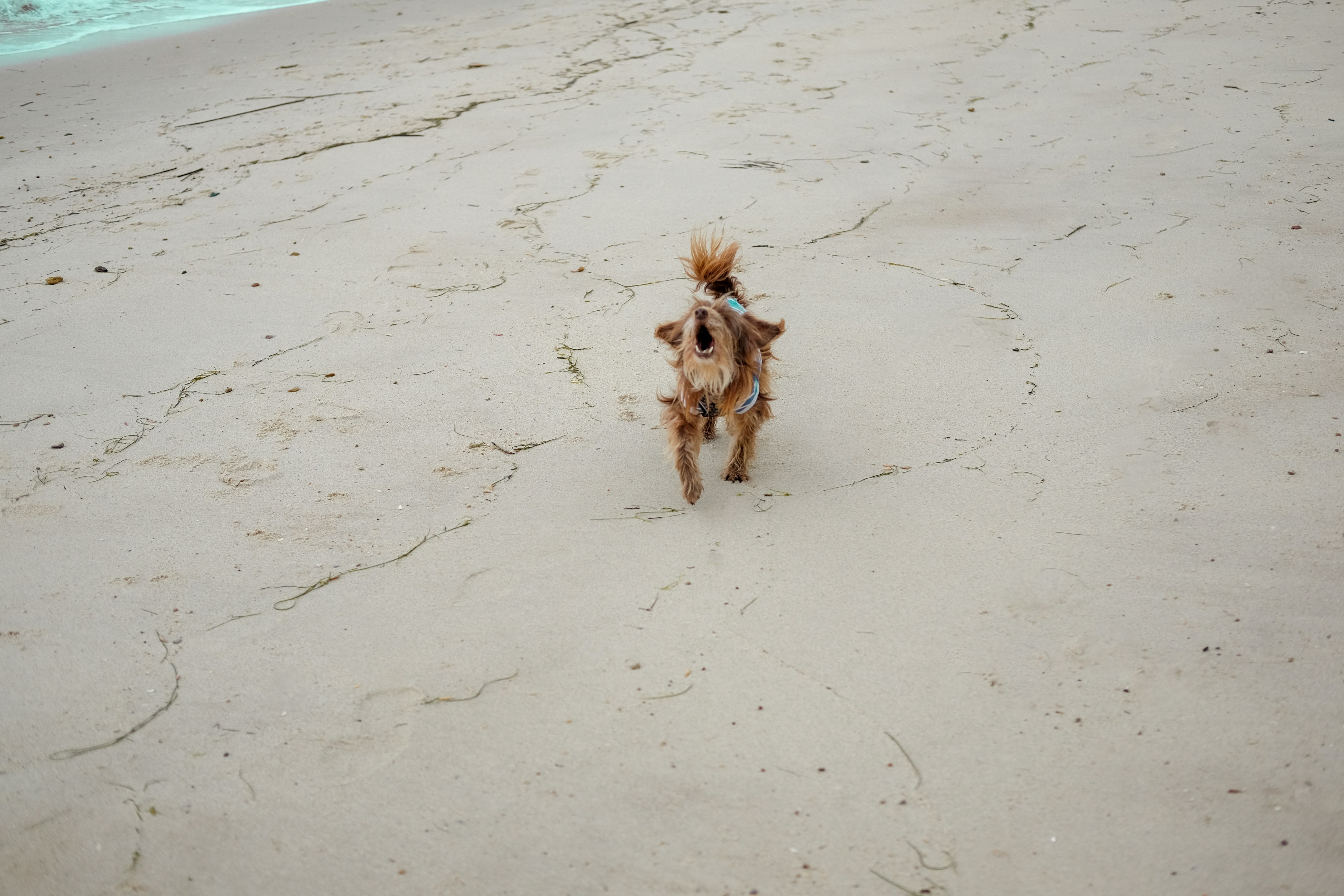 Photo by noelephantsflying