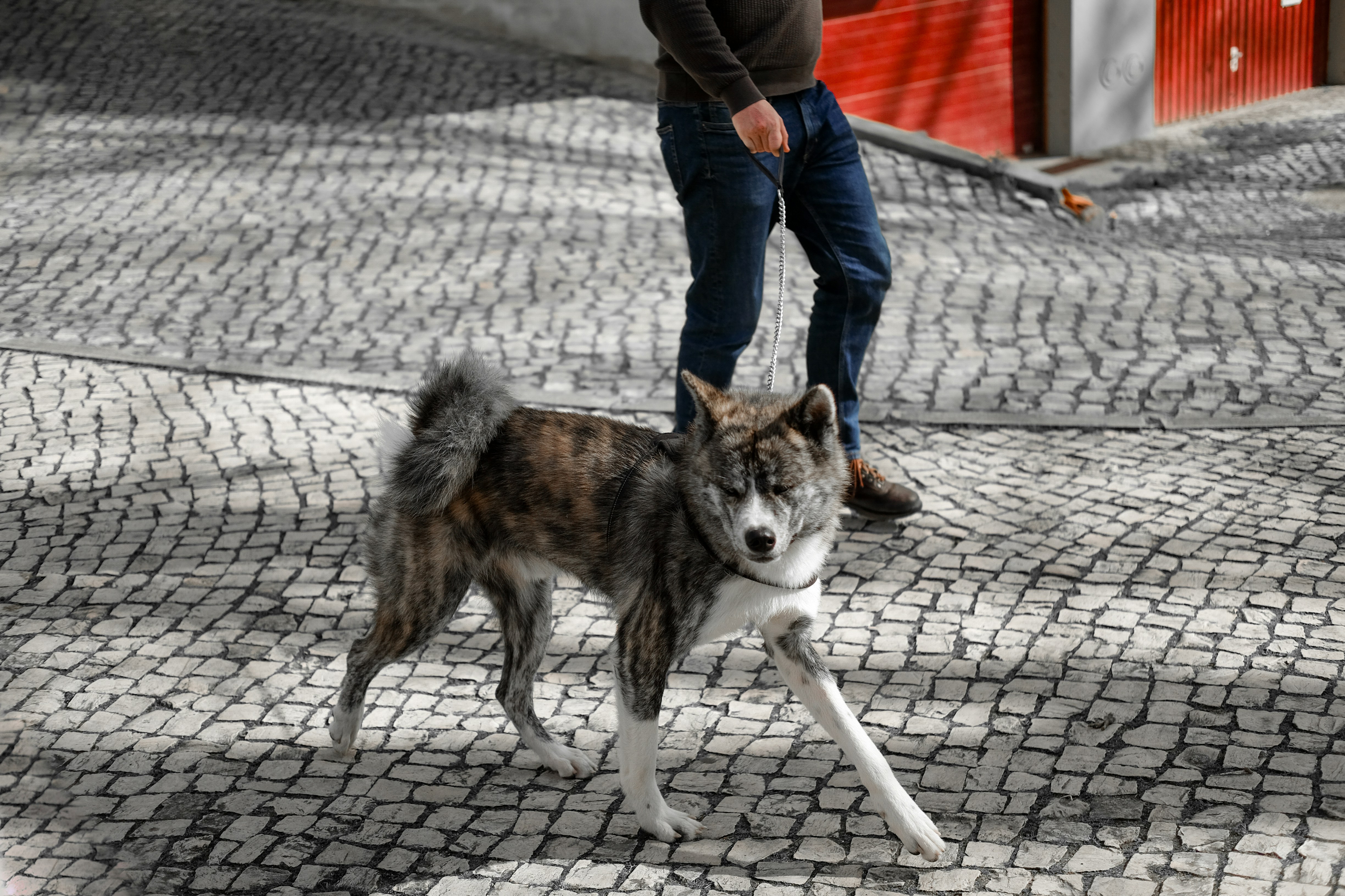 photo-1739626651023-f18441426006?ixid=M3wxMjA3fDB8MXxzZWFyY2h8MTZ8fGVzY29ydHMlMjBwc2V8ZW58MHx8fHwxNzUxMDY4MzE2fDA\u0026ixlib=rb-4.1.0