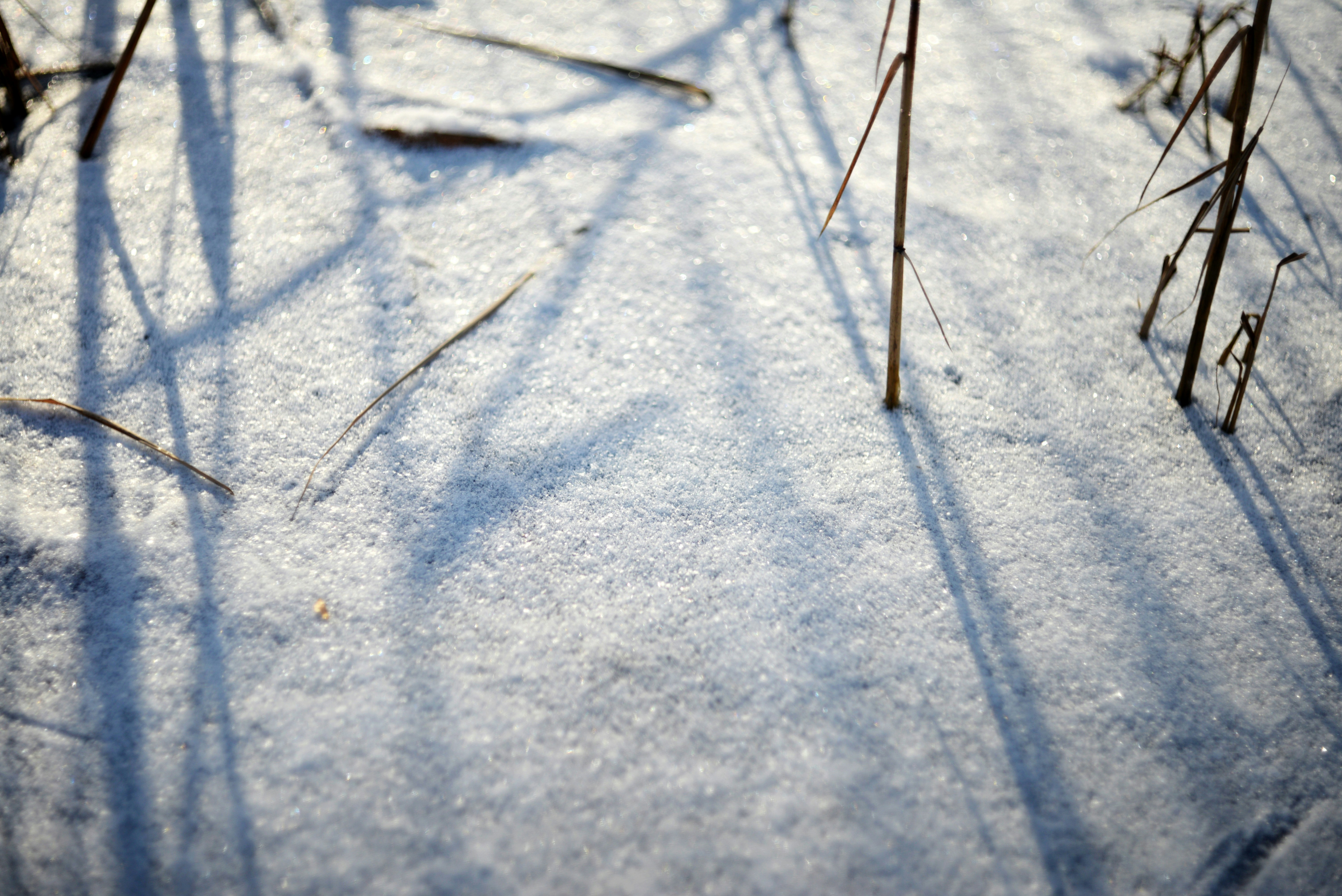 Photo by cherstve_pechivo