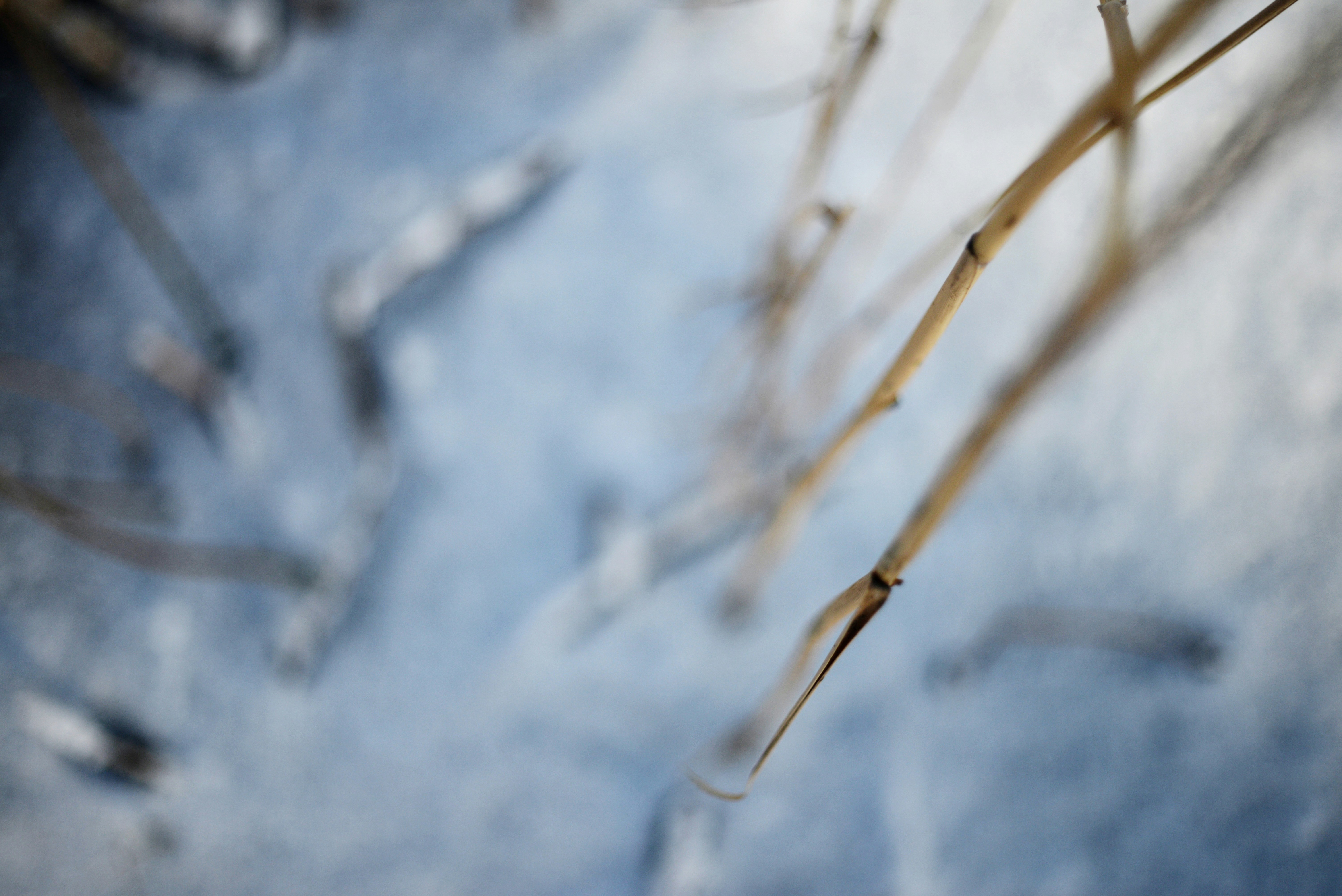 Photo by cherstve_pechivo