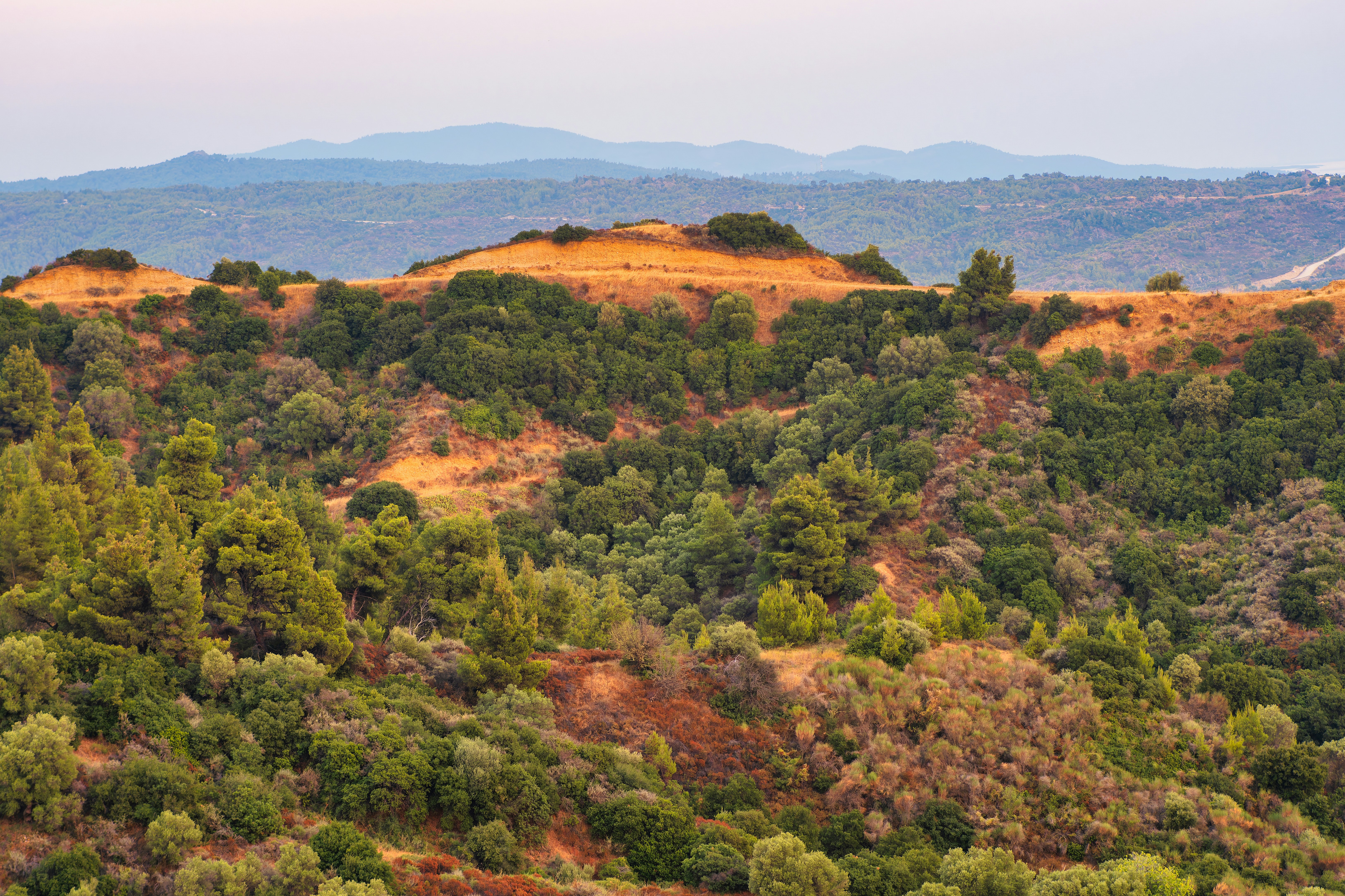 Photo by angelliffer