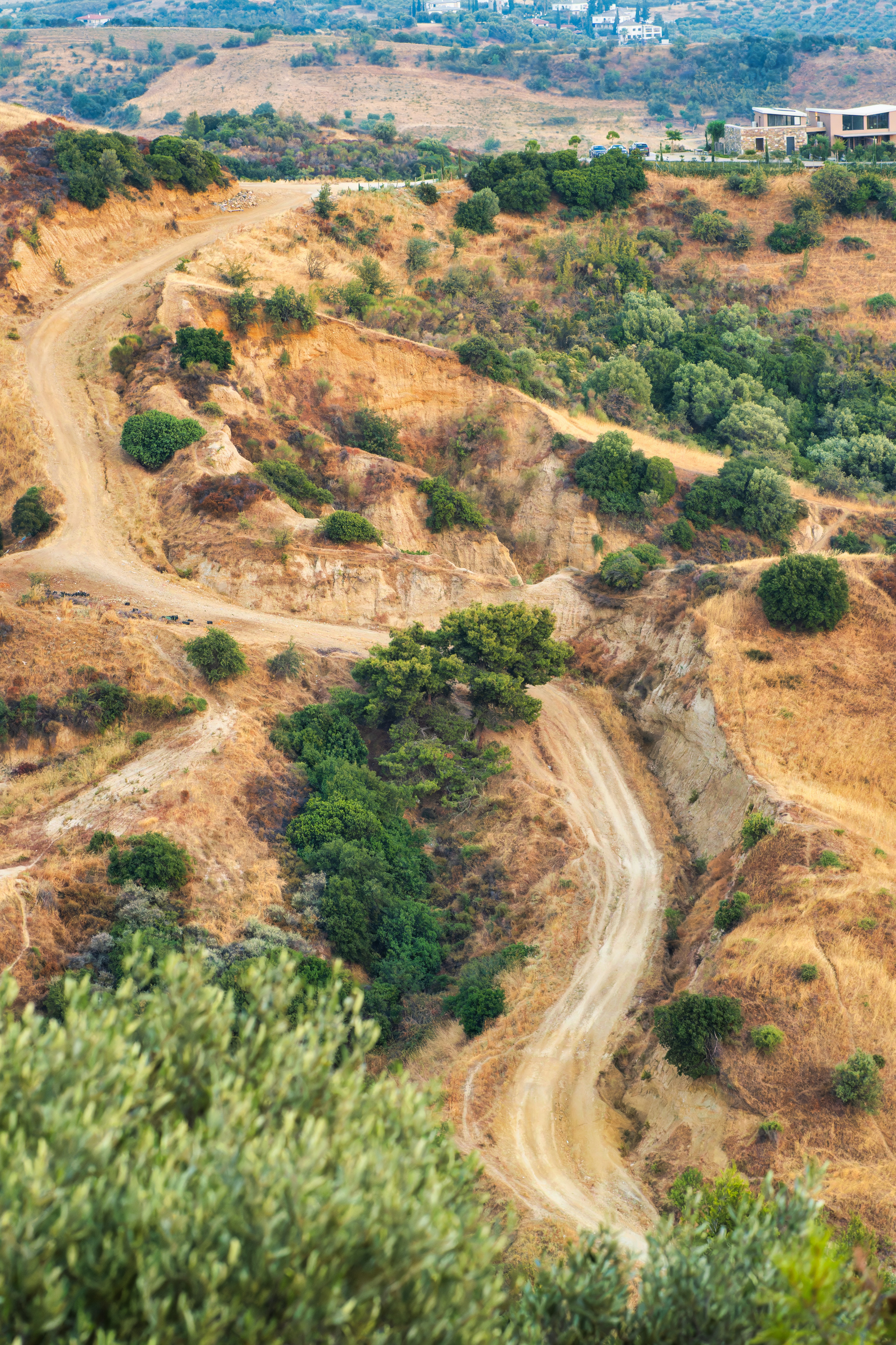 Photo by angelliffer