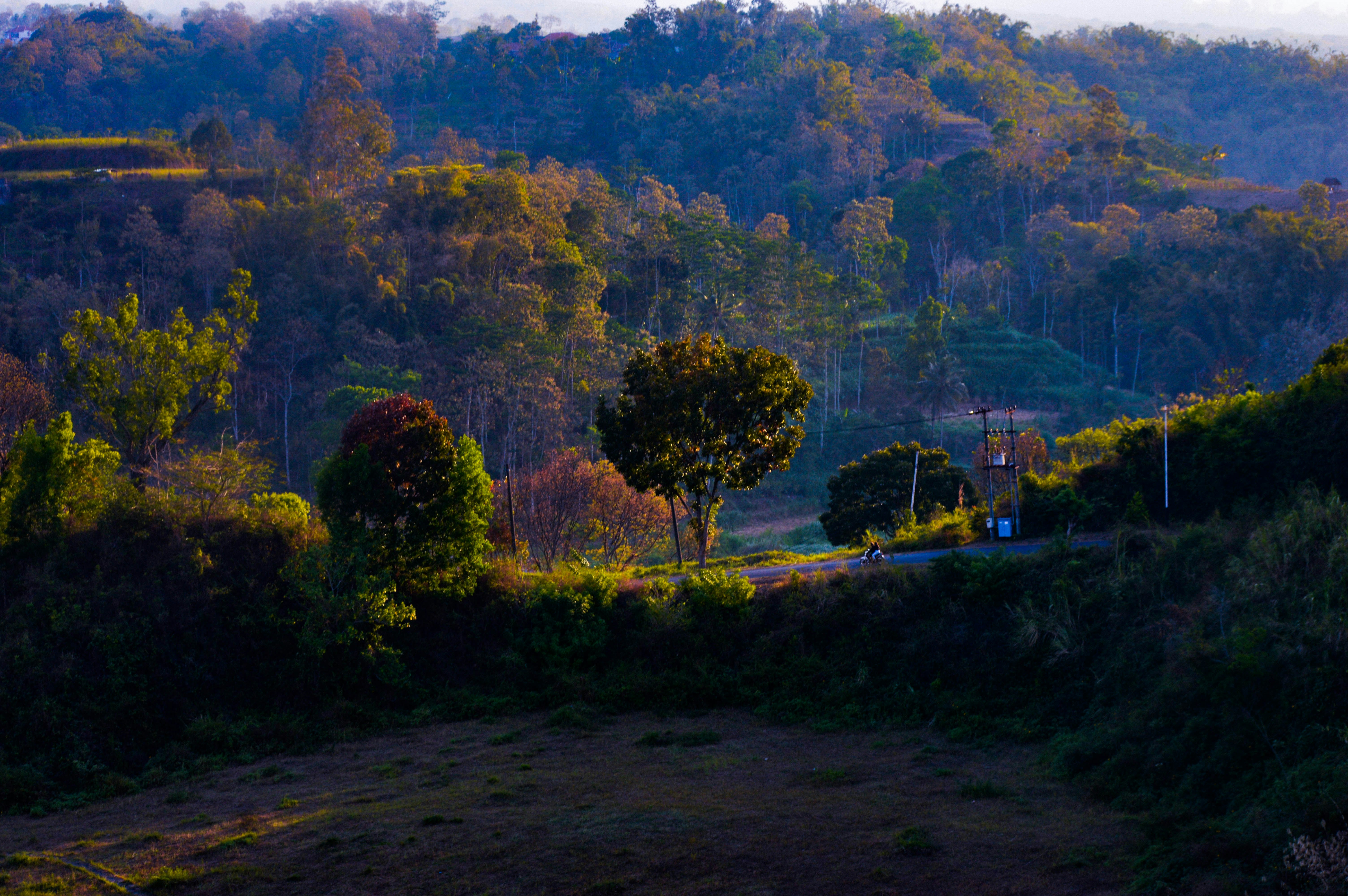 Photo by slowlifephotography