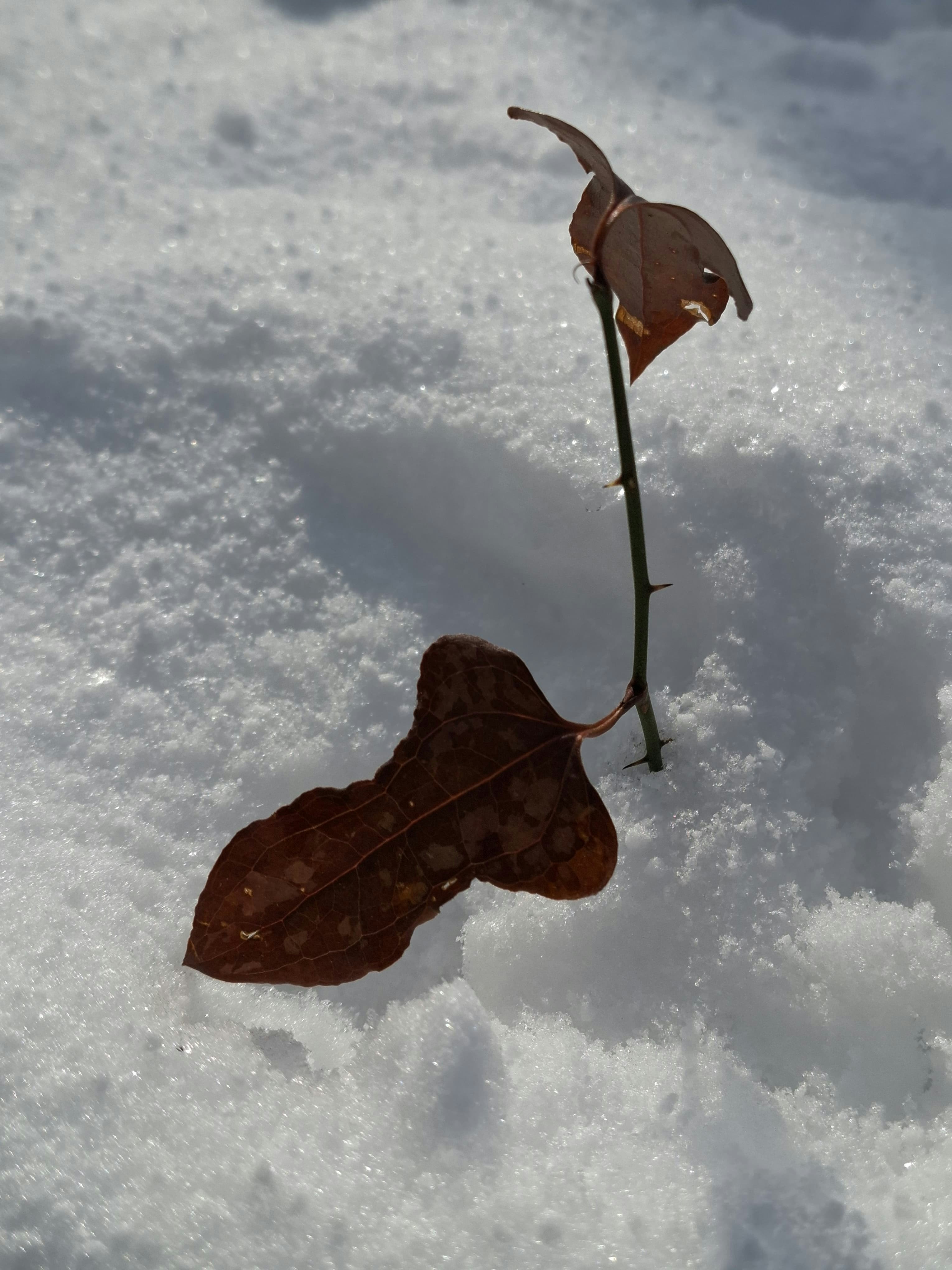 Photo by yunusemresezgi52