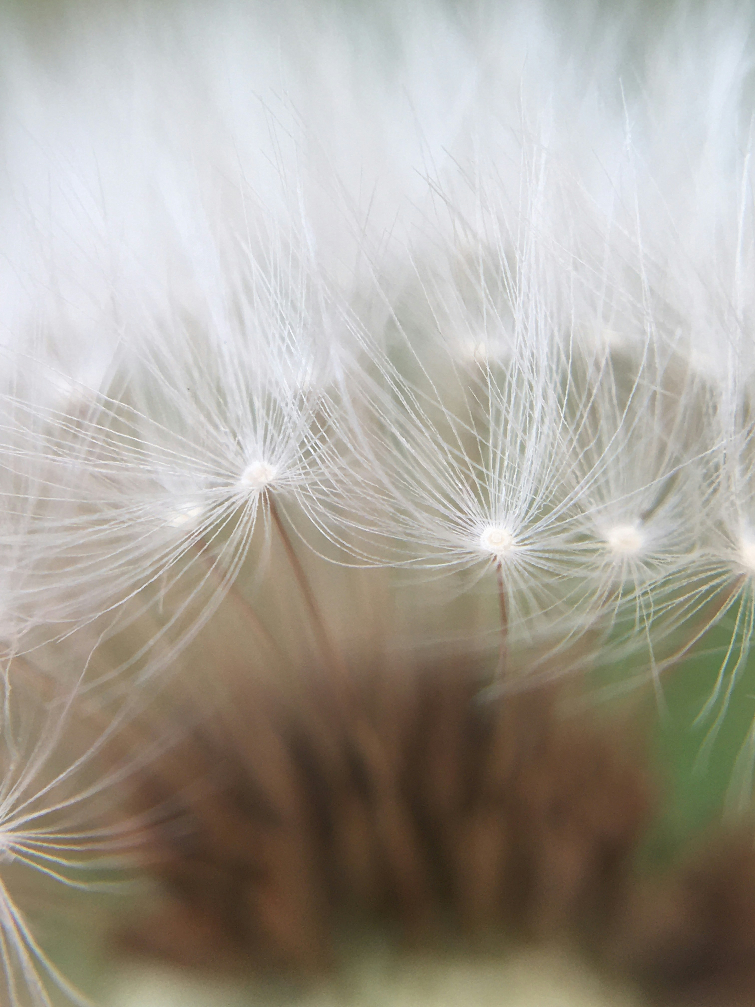 Photo by yunusemresezgi52